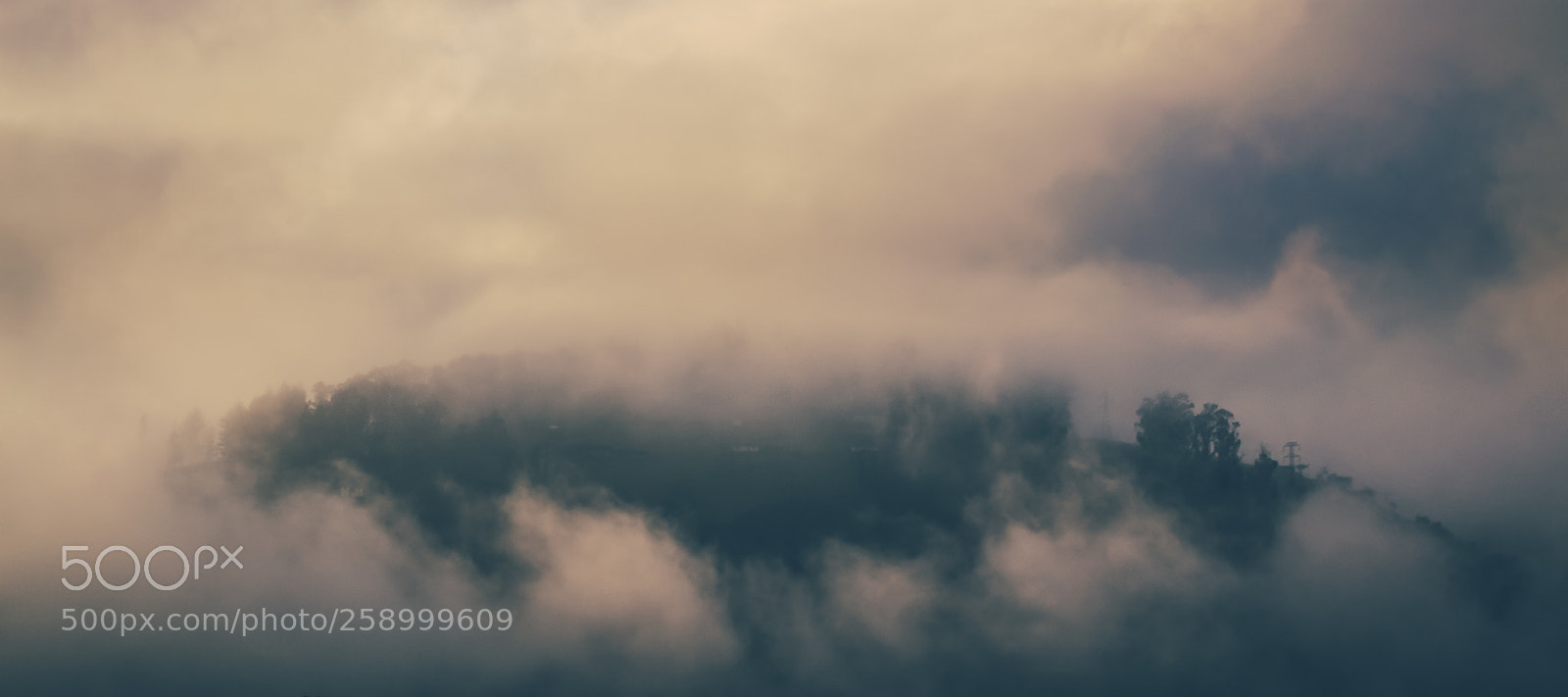 Nikon D3100 sample photo. Cloudy morning photography
