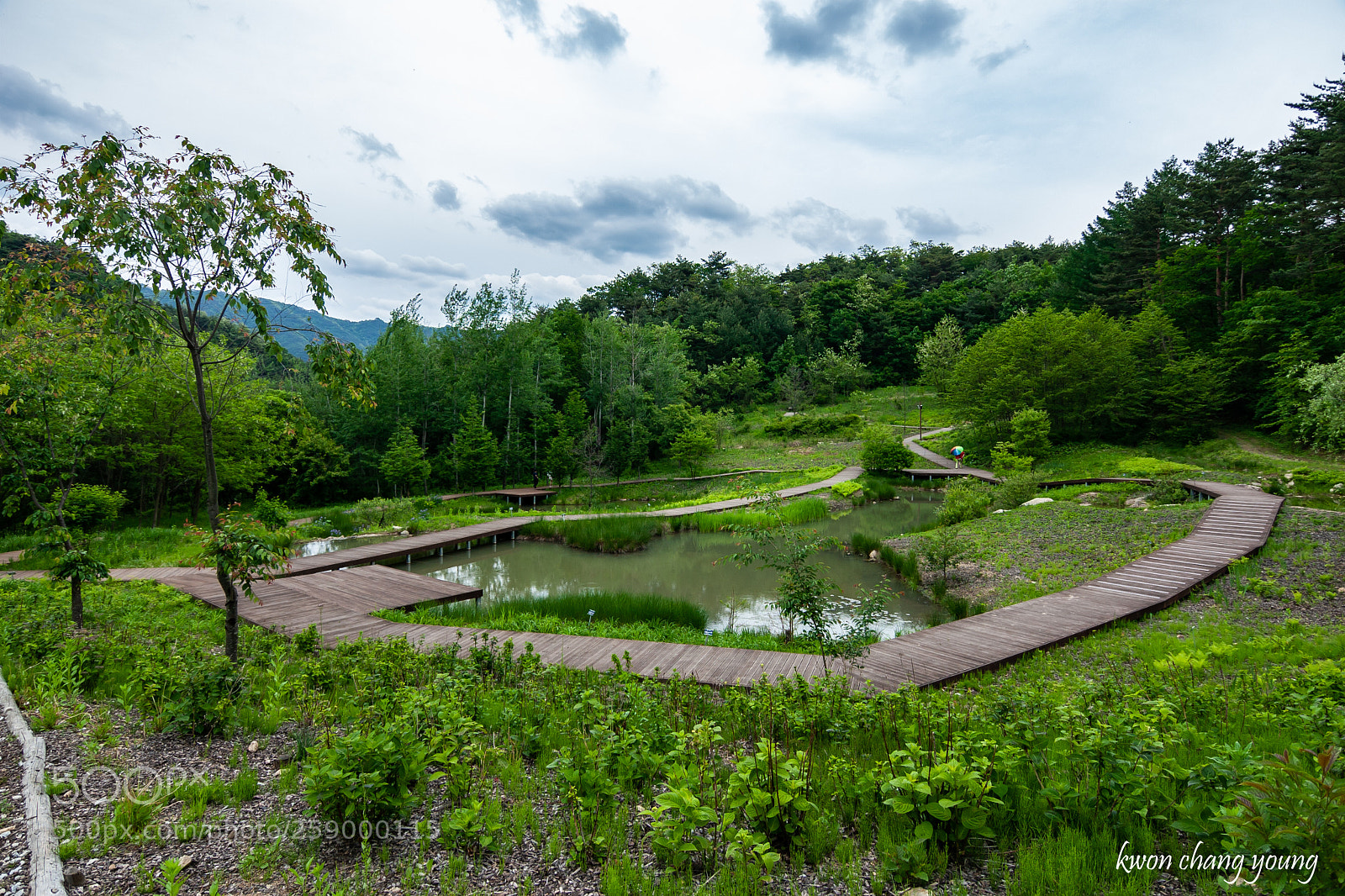 Canon EOS 30D sample photo. 봉화 백두대간 수목원 호랑이숲 습지공원 photography