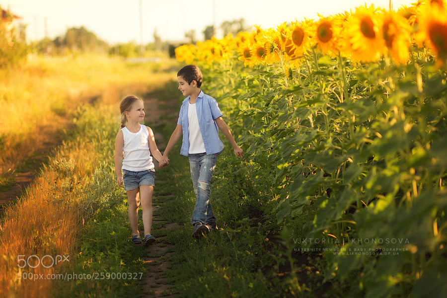 Canon EOS 6D sample photo. Sunny day photography