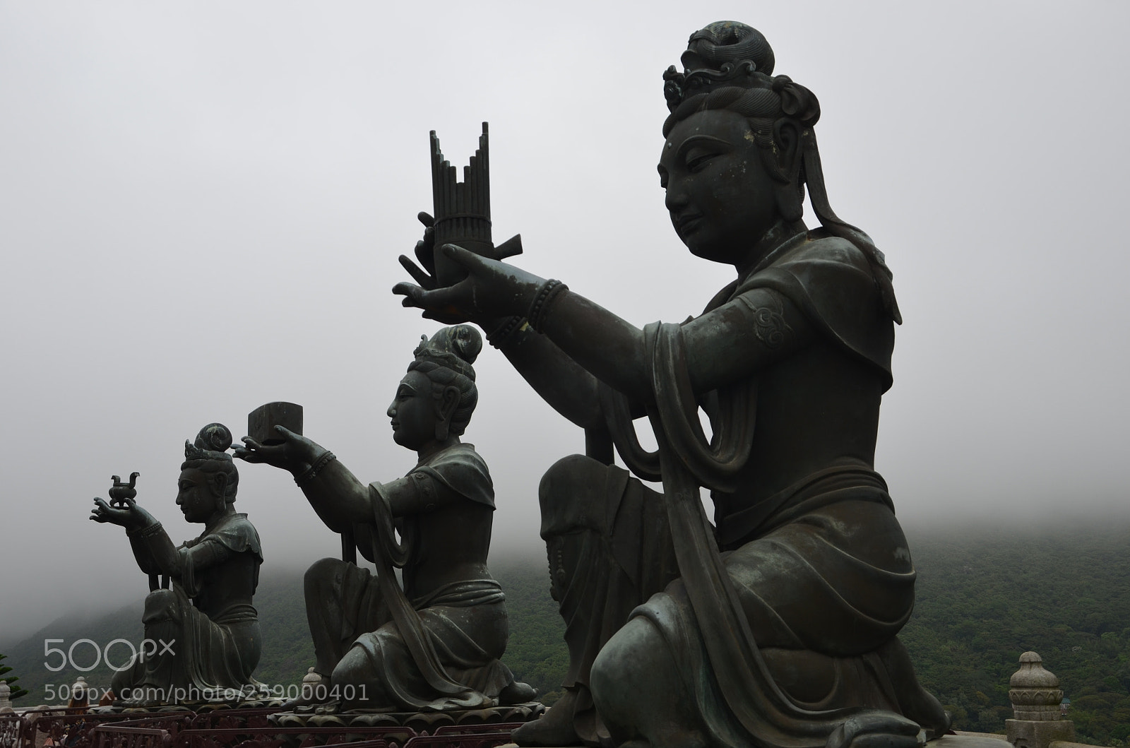 Nikon D5100 sample photo. The offering of the photography