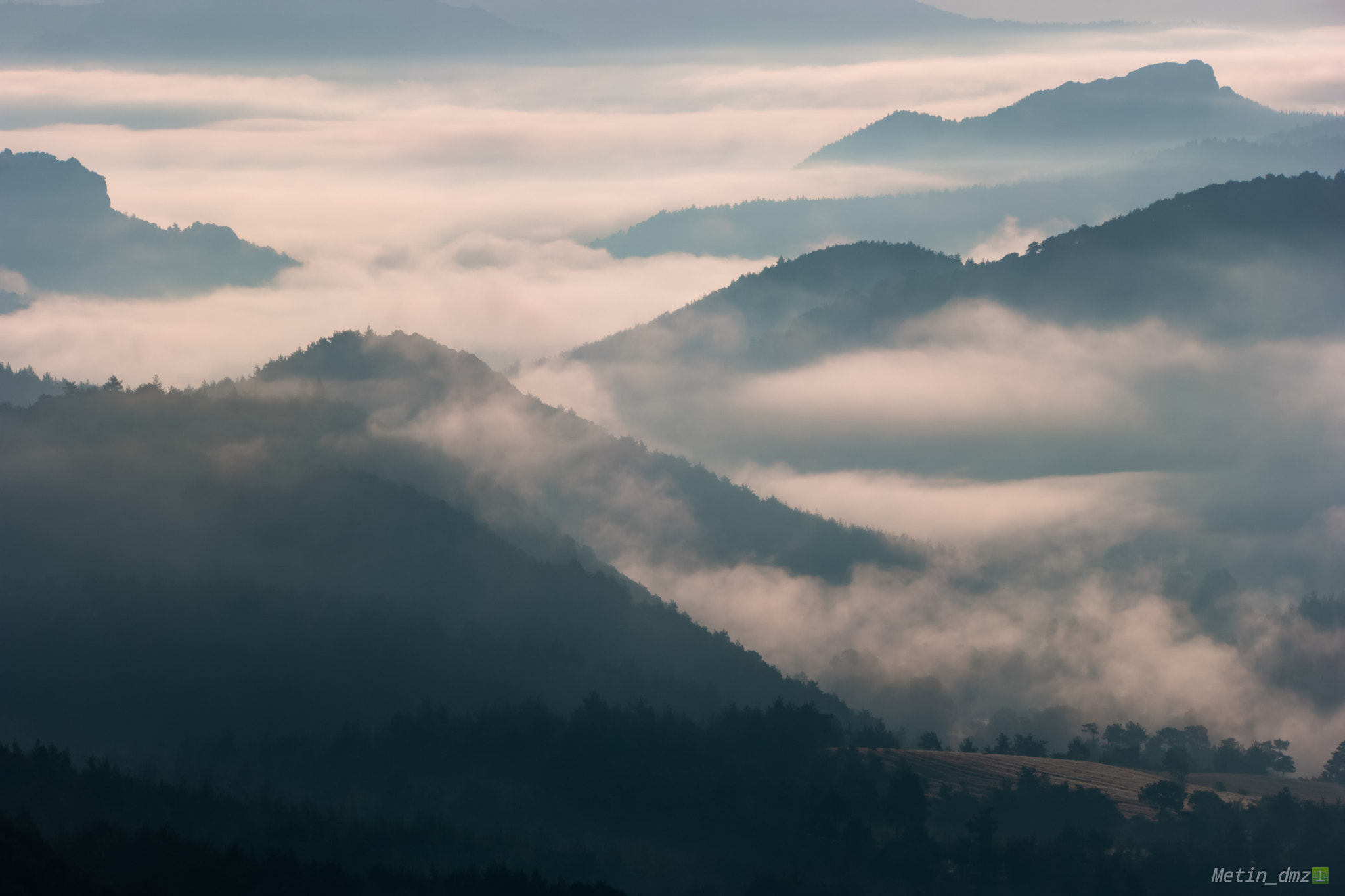 Samsung NX1 sample photo. Fog photography