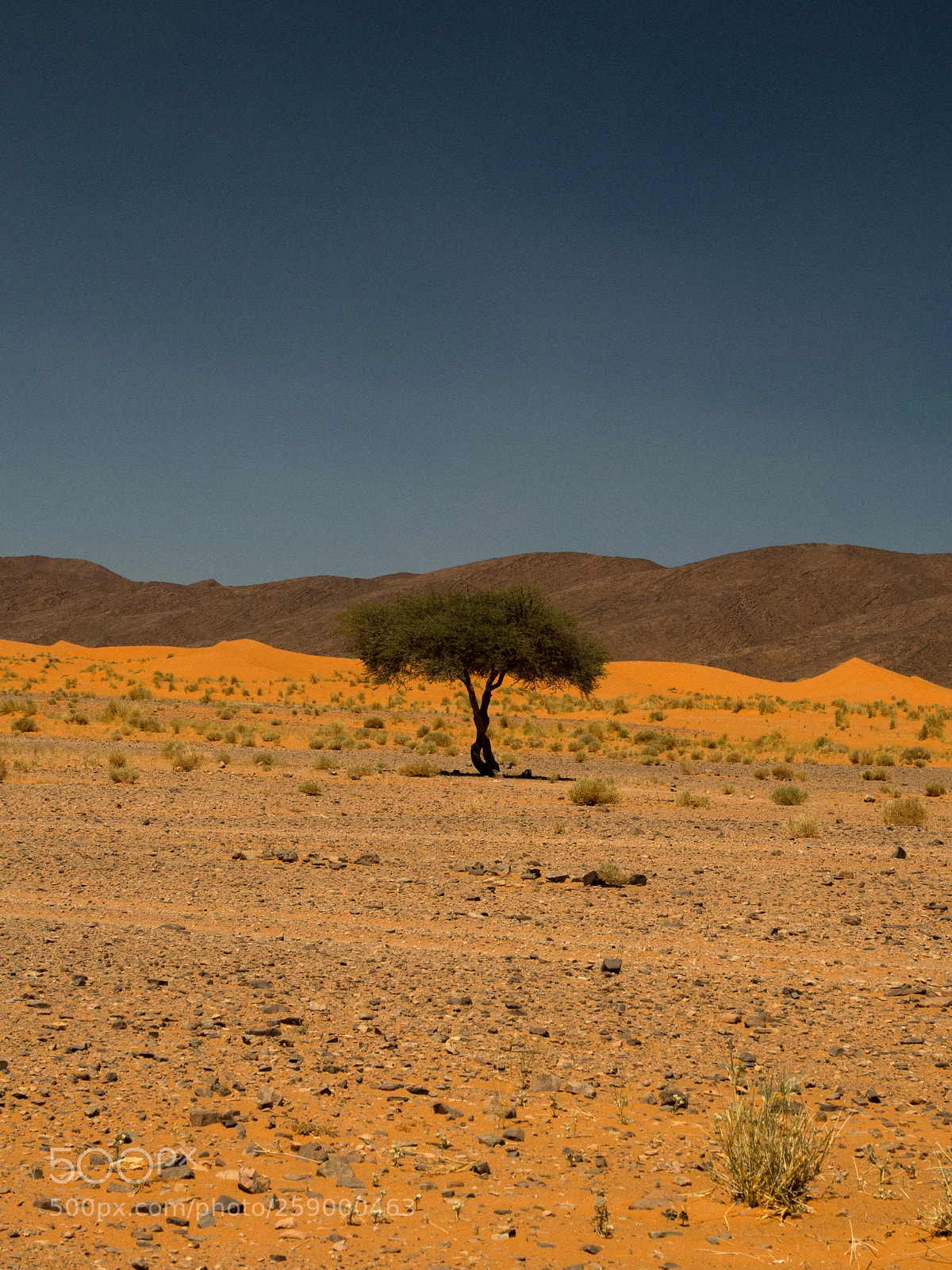 Canon EOS 70D sample photo. M hamid desert photography