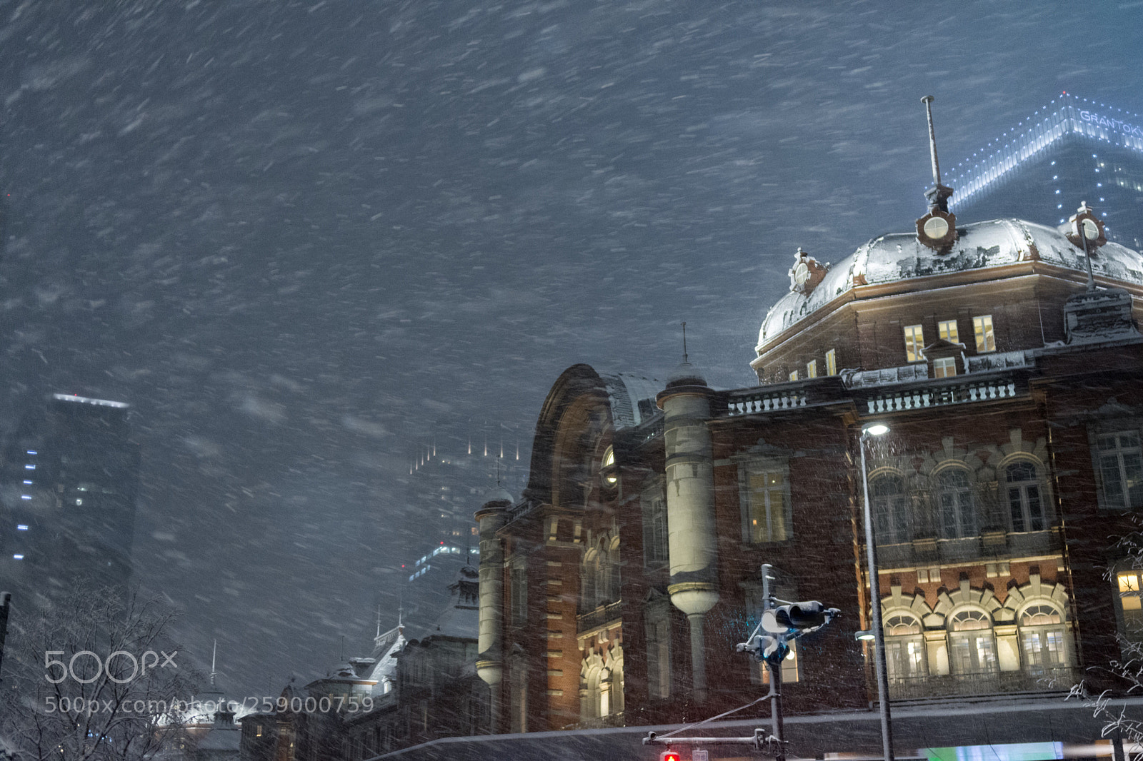Nikon D7200 sample photo. Snow in tokyo photography