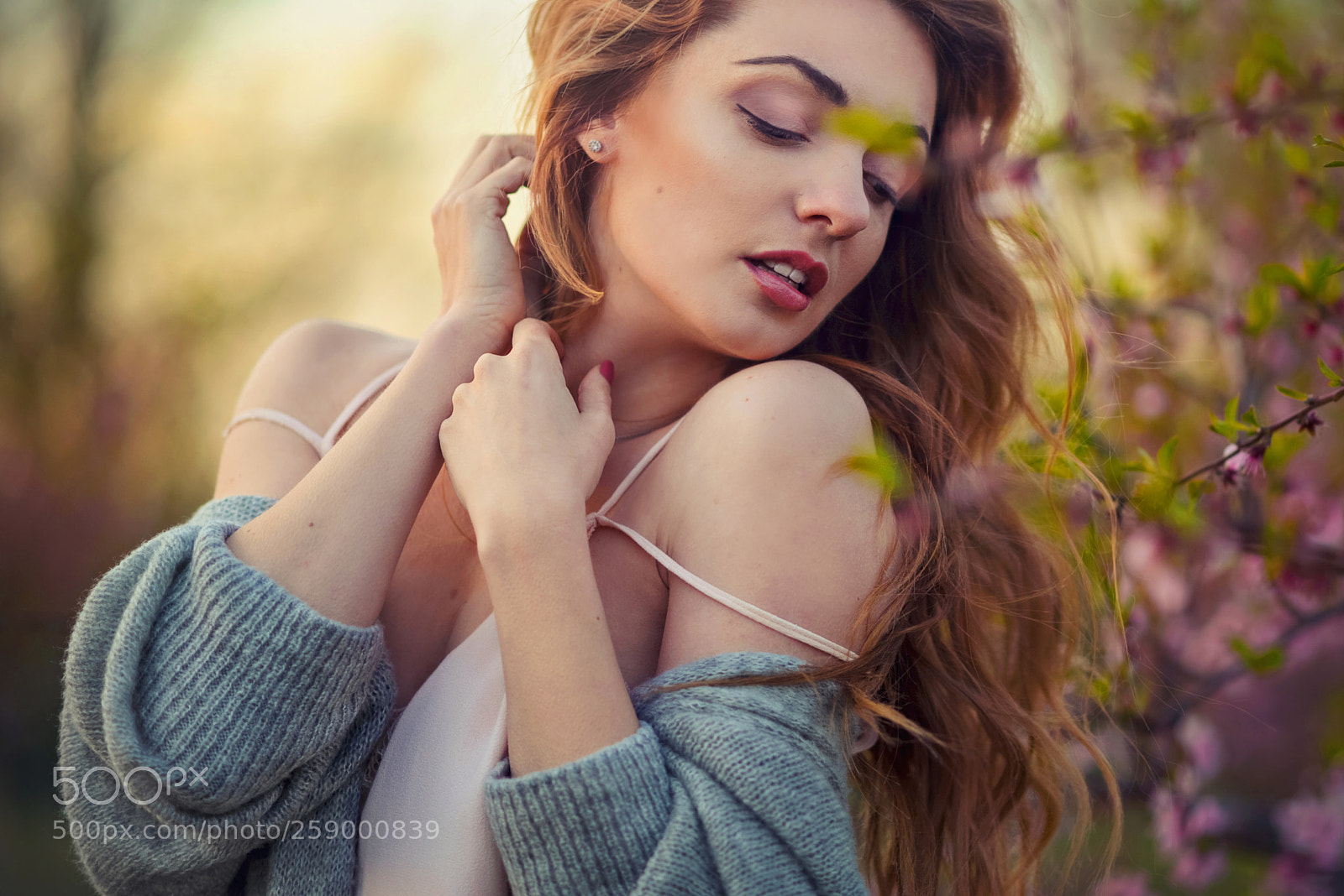 Nikon D610 sample photo. Spring photography