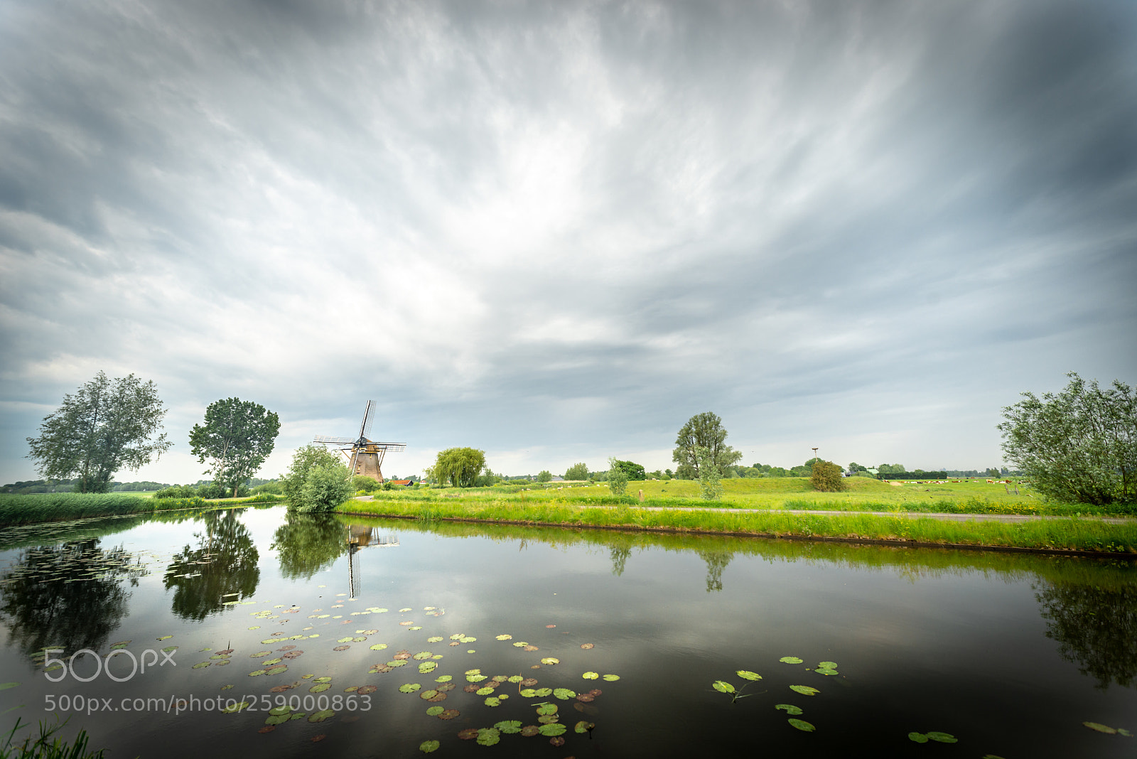 Nikon D610 sample photo. Oostzijdse molen (mondrian mill) photography