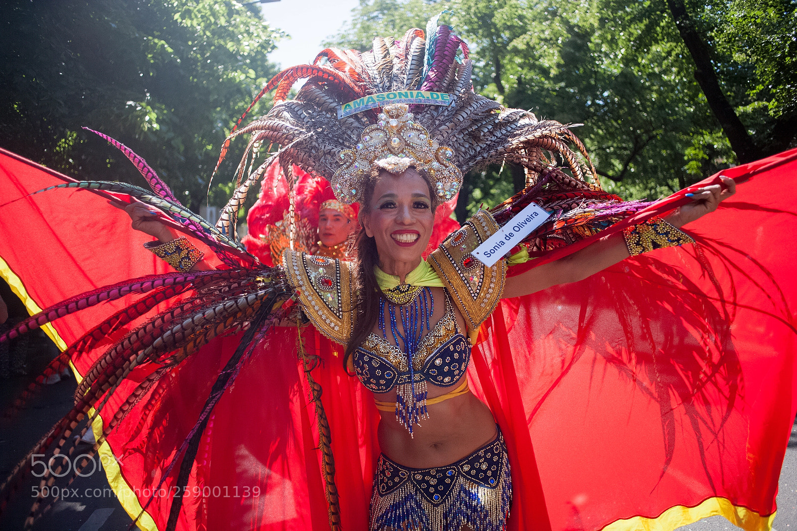 Canon EOS-1Ds Mark II sample photo. Berlin carnival,18 photography
