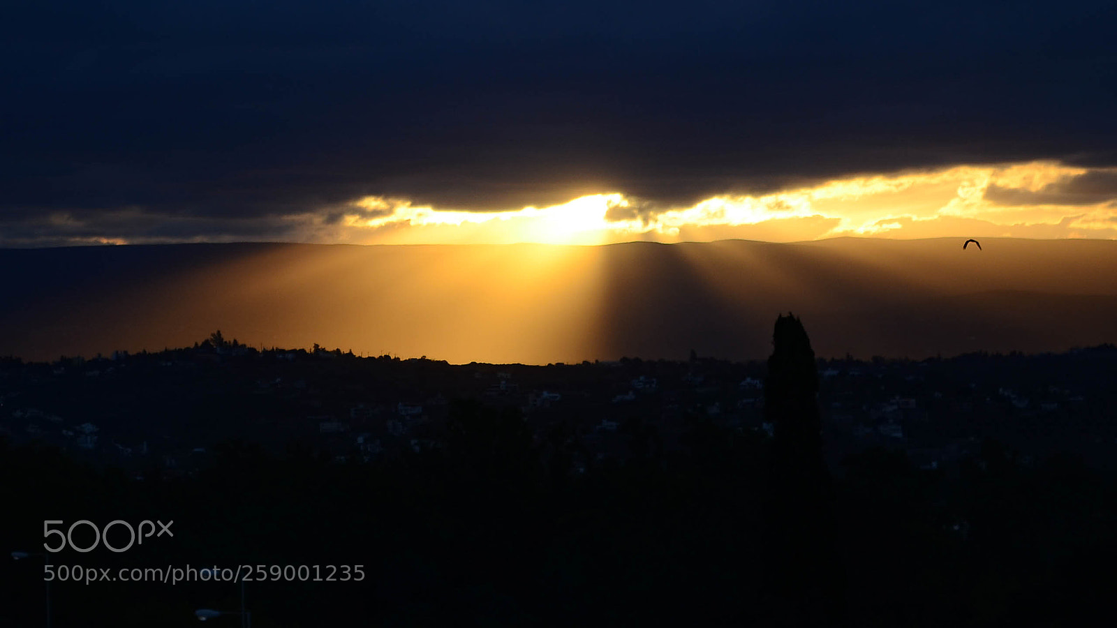Nikon D5100 sample photo. Sun photography