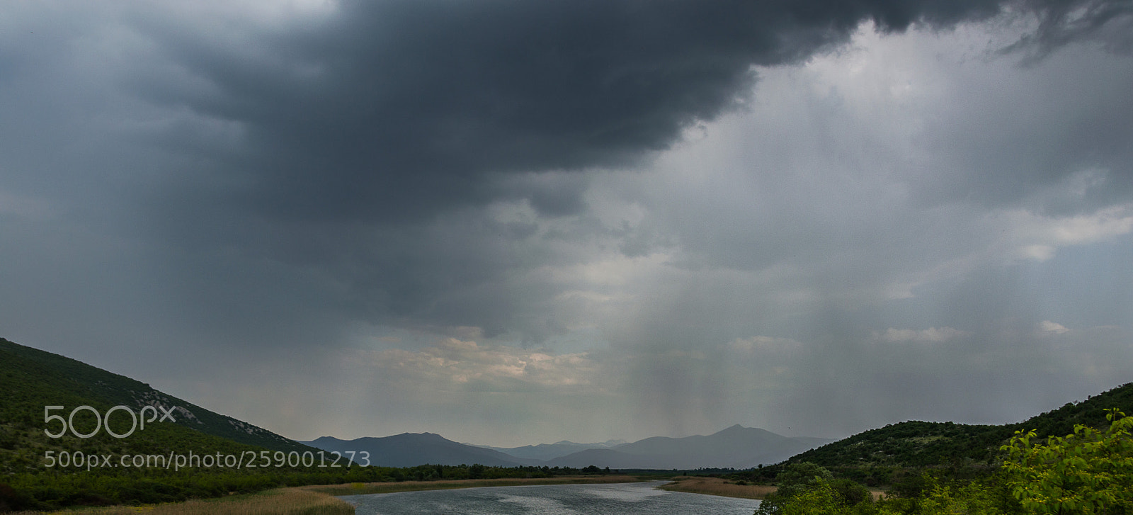 Nikon D3200 sample photo. Rain cover photography