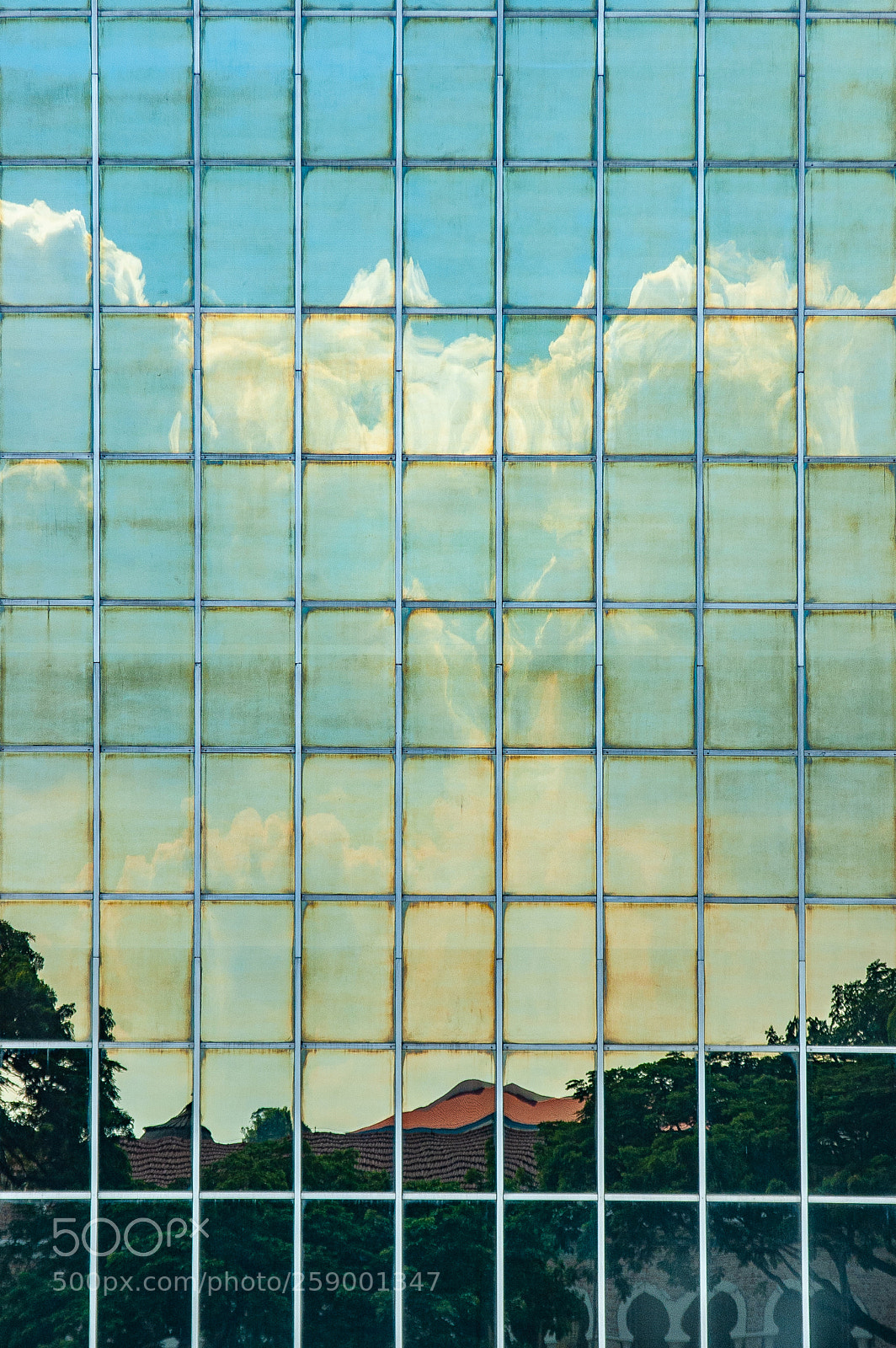 Nikon D70 sample photo. Mirrored photography