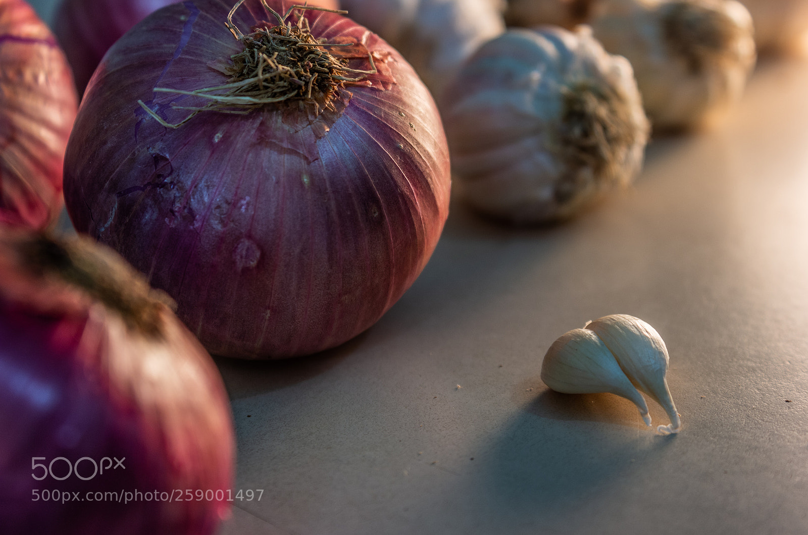 Canon EOS 600D (Rebel EOS T3i / EOS Kiss X5) sample photo. Onion and garlic photography