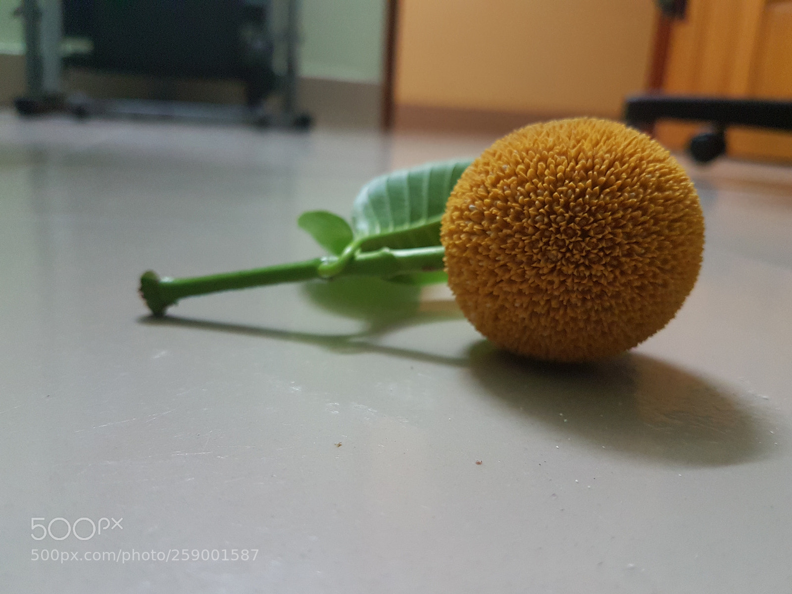 Samsung Galaxy S7 Edge sample photo. Untitled photography