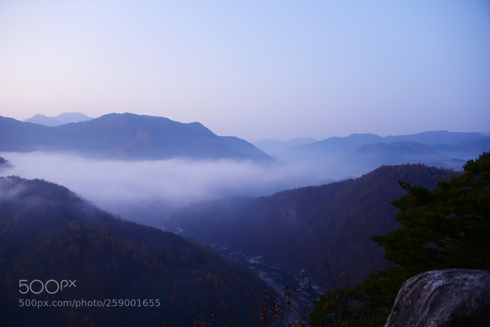 Nikon D750 sample photo. * that fog photography