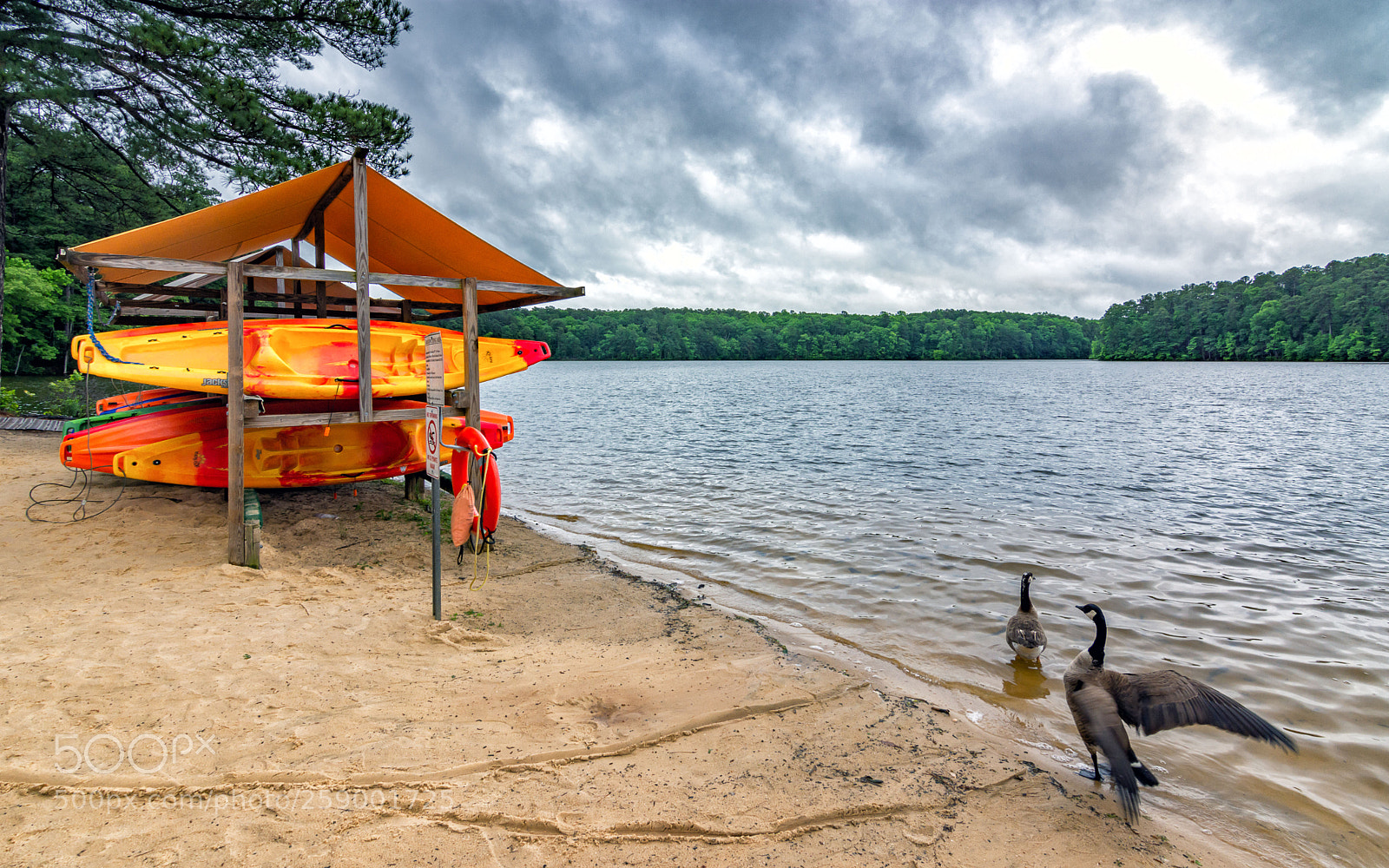 Nikon D7200 sample photo. By the lake photography