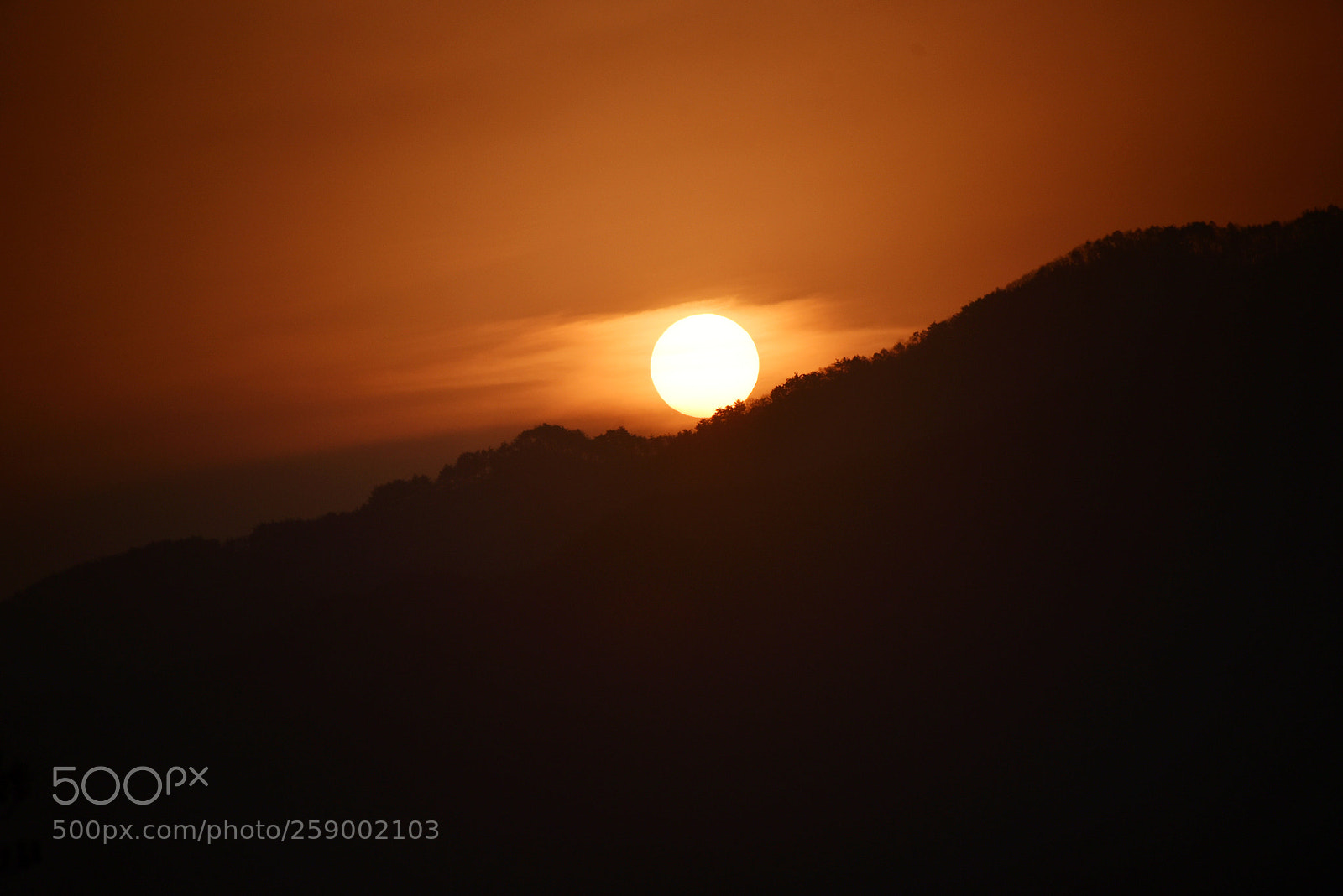 Nikon D750 sample photo. * welcome the sun photography