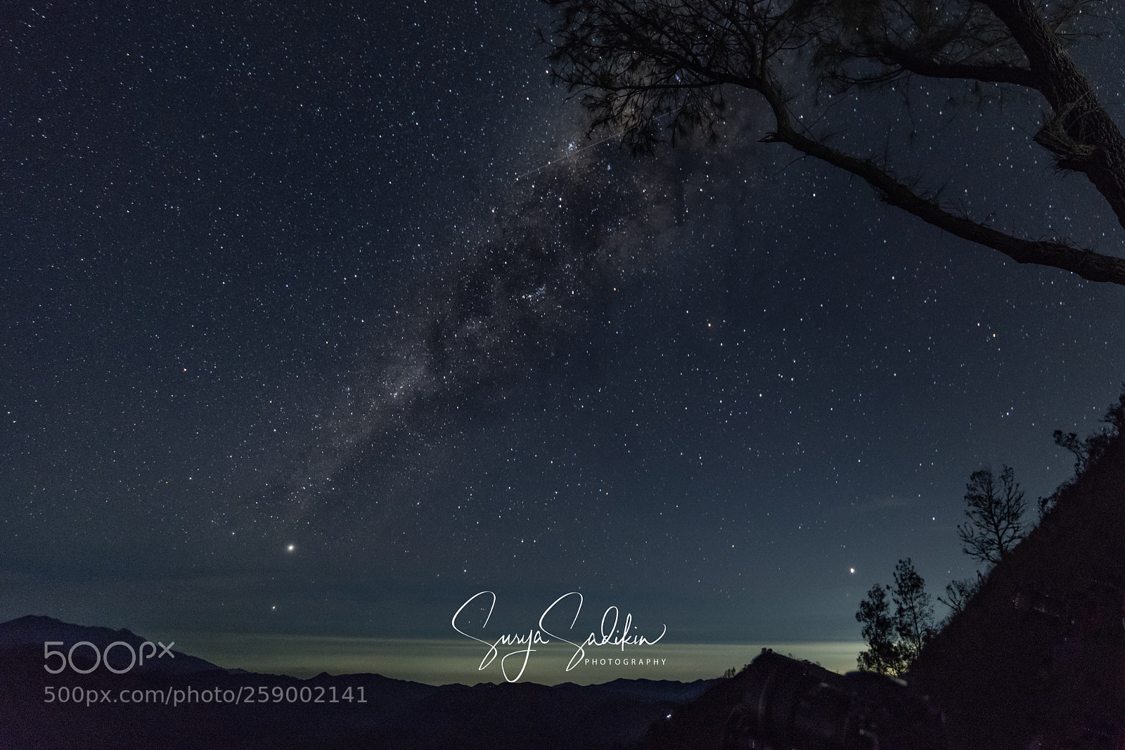 Nikon D850 sample photo. Bromo trees milkyway photography