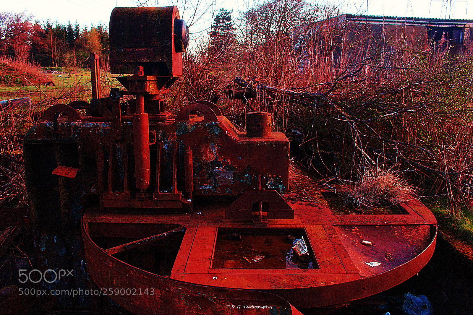 Canon EOS 100D (EOS Rebel SL1 / EOS Kiss X7) sample photo. Rot and ruin photography