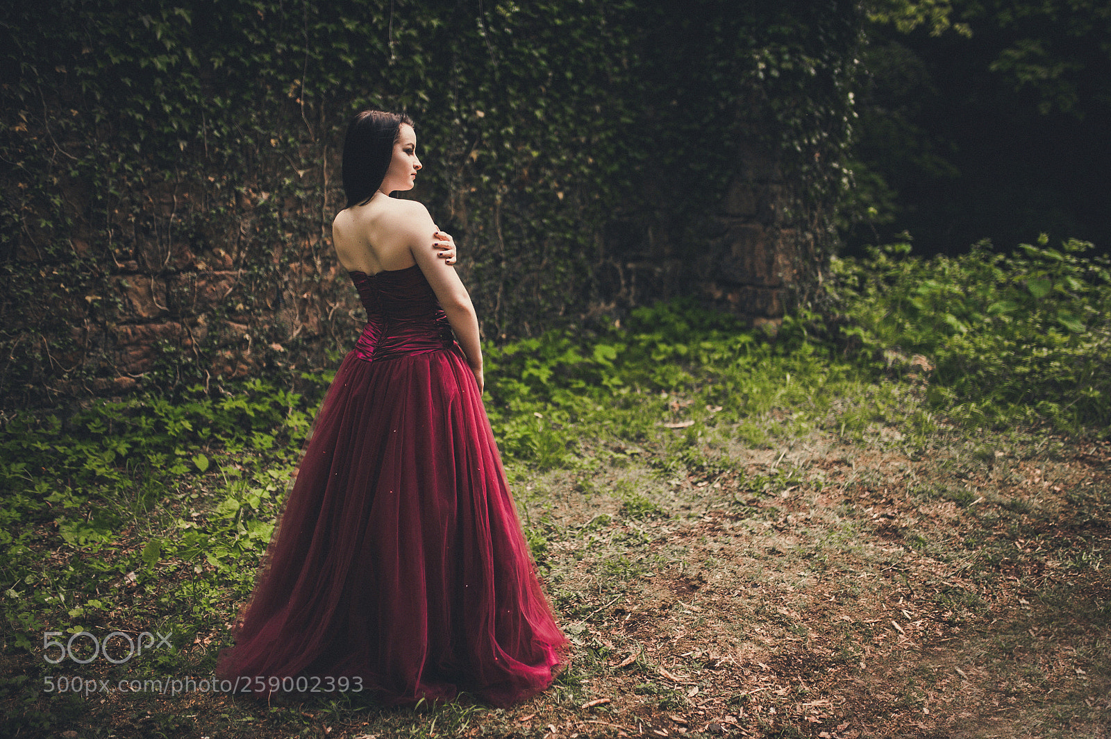 Nikon D700 sample photo. Lady of roslin photography