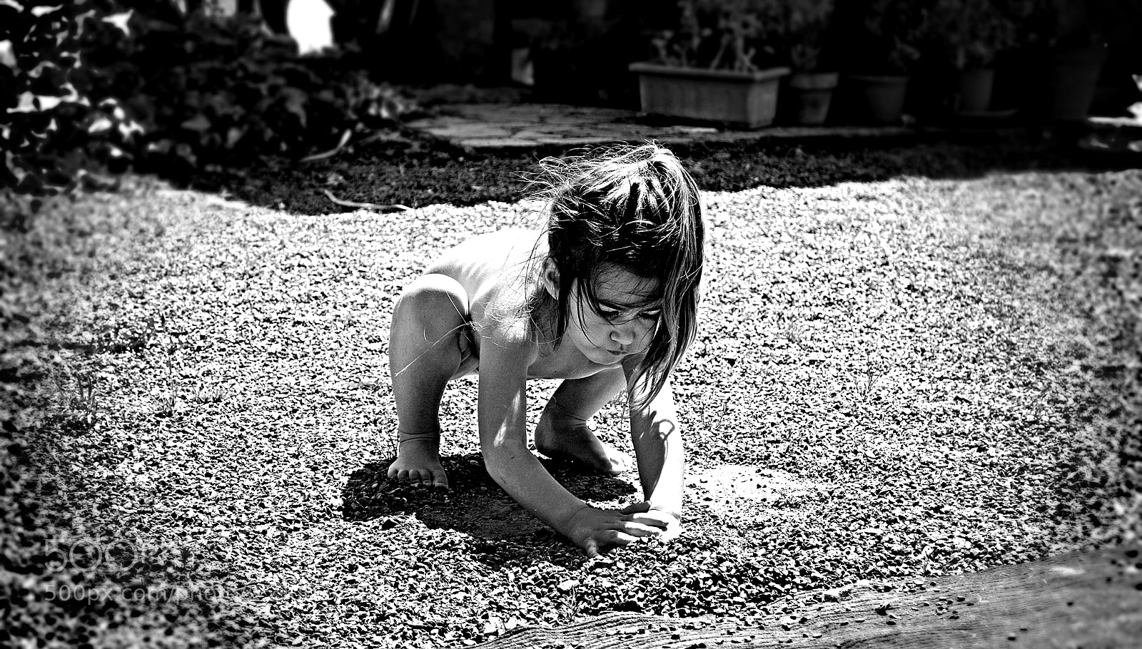 Nikon D3100 sample photo. Mowgli photography
