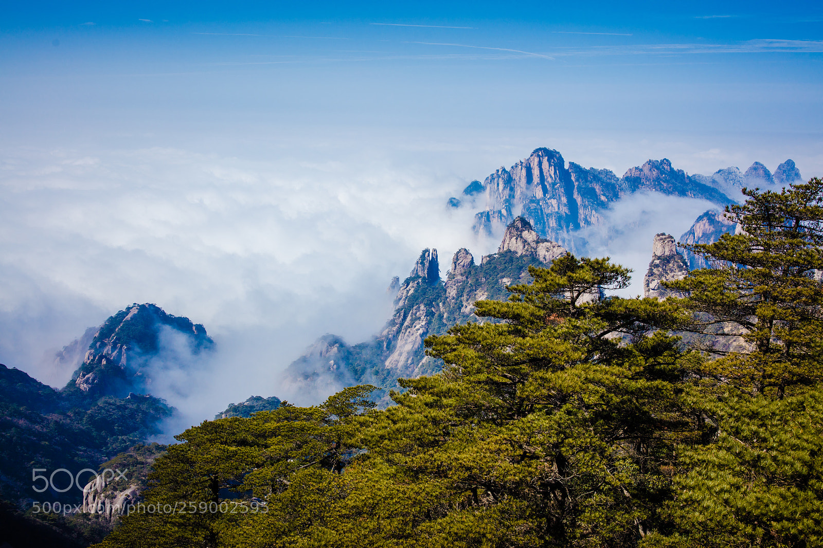 Canon EOS 5DS R sample photo. A photography