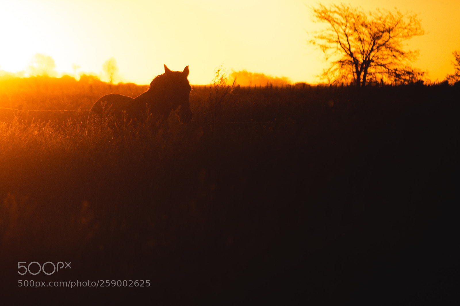 Nikon D7100 sample photo. Ocaso photography