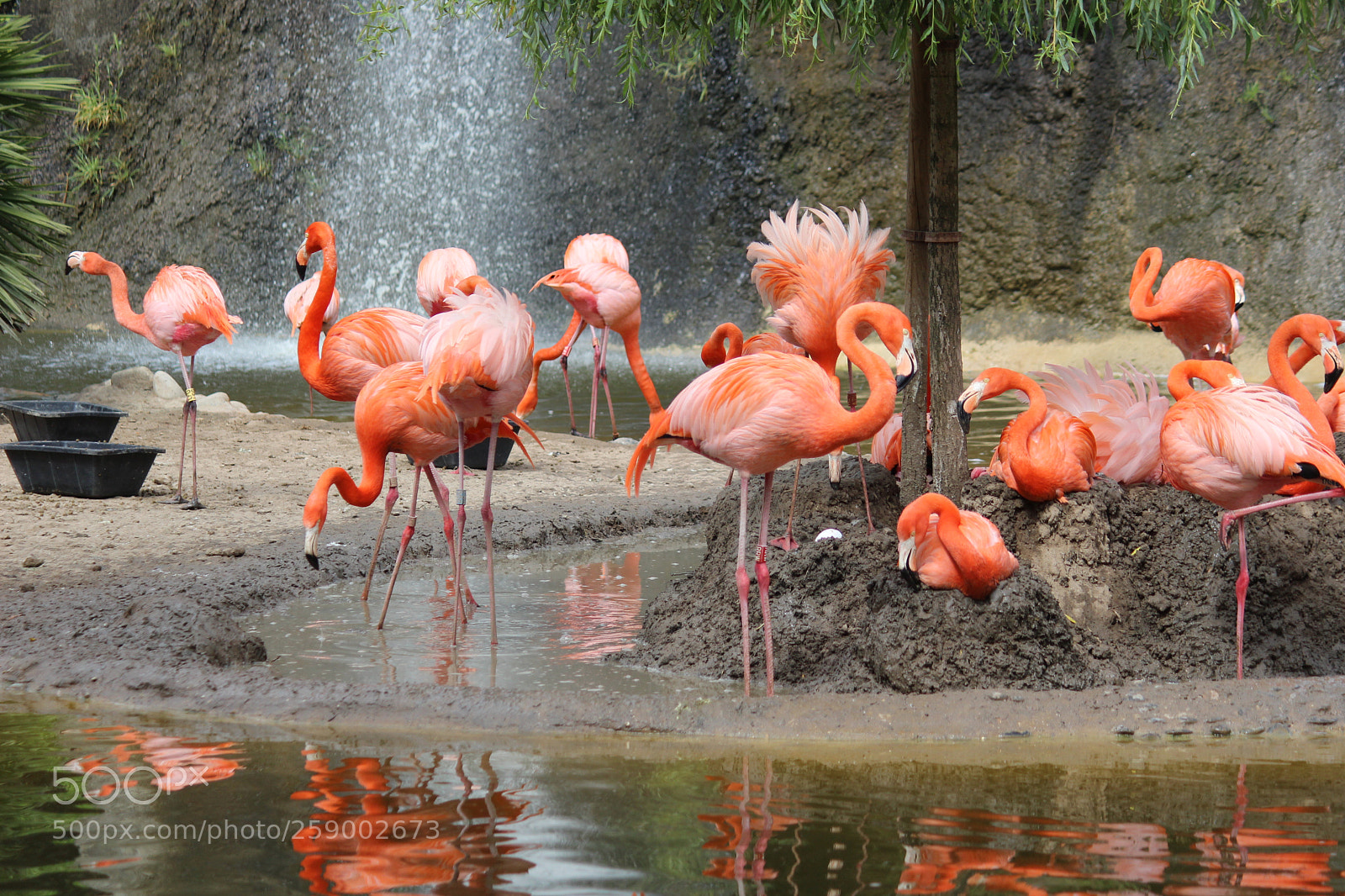 Canon EF-S 55-250mm F4-5.6 IS II sample photo. Img photography