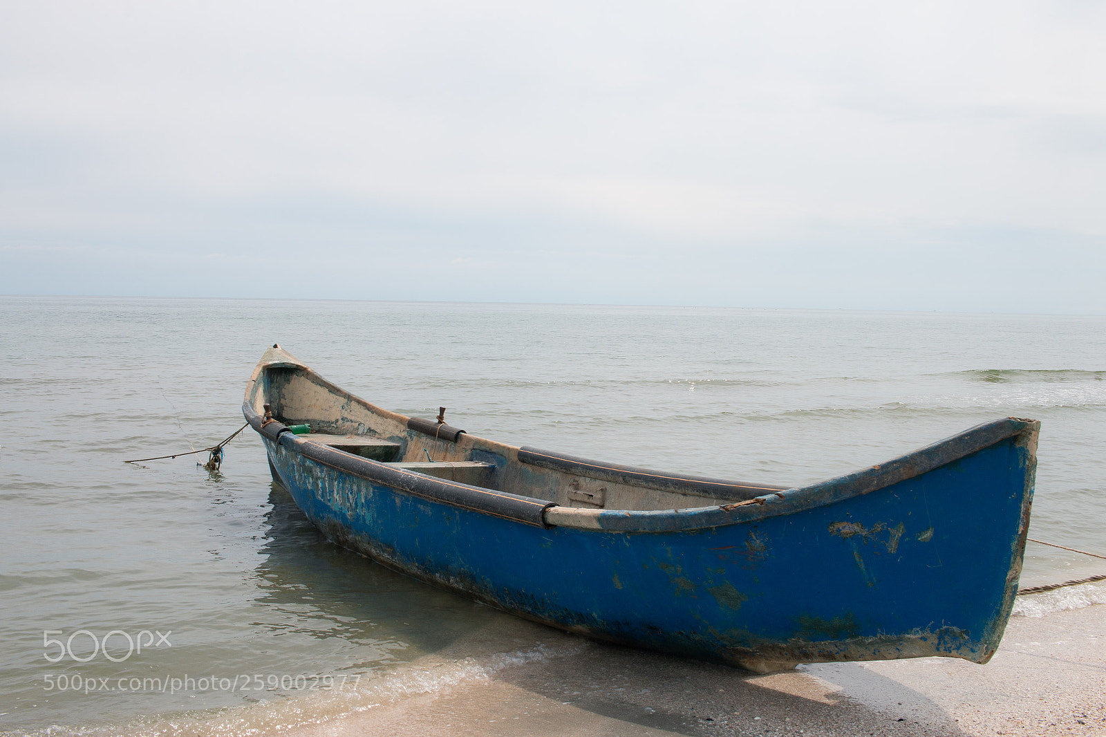 Canon EOS 70D sample photo. Untitled photography