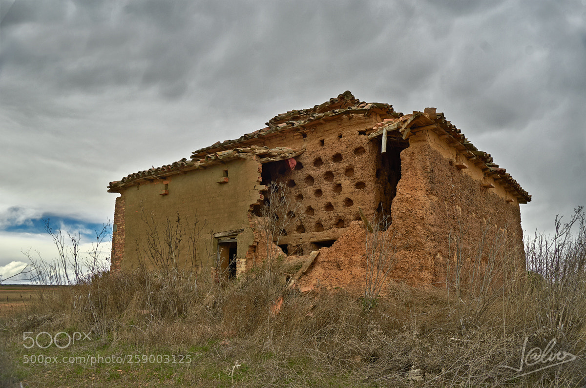 Nikon D5100 sample photo. Dovecote ruins photography