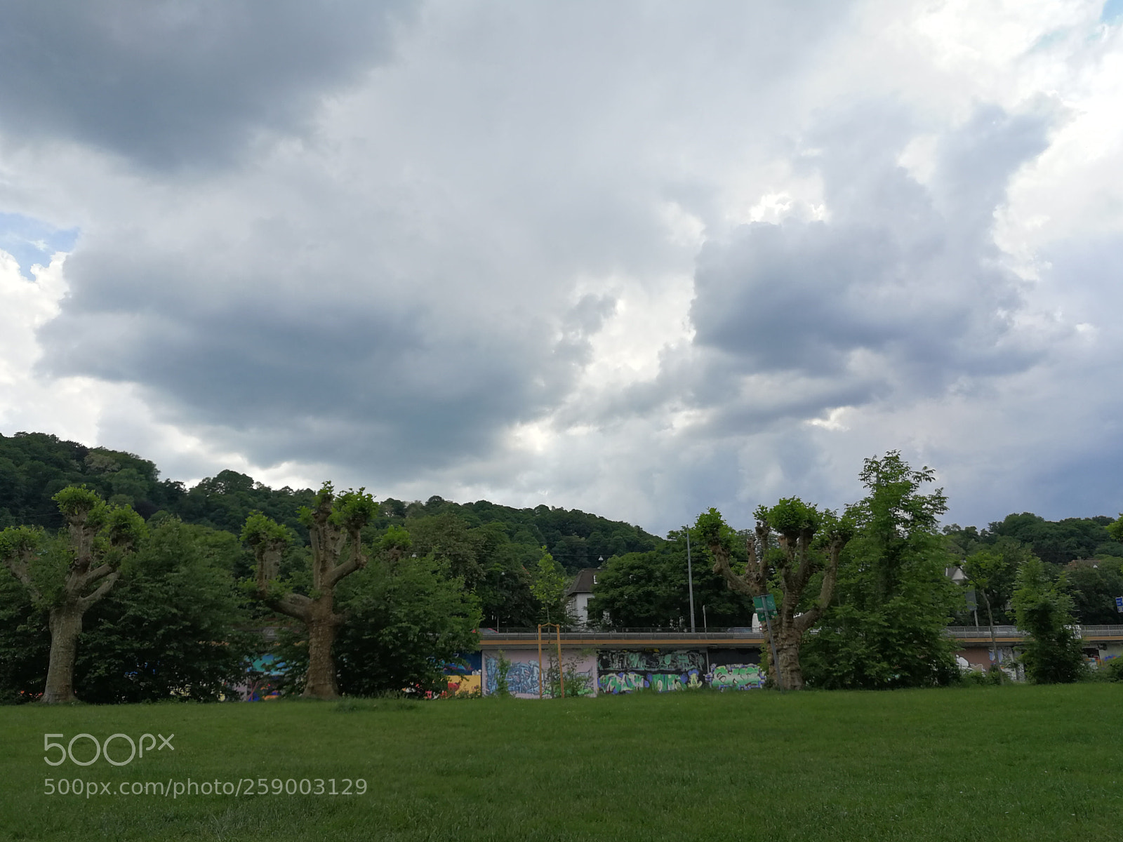 HUAWEI P10 sample photo. Untitled photography