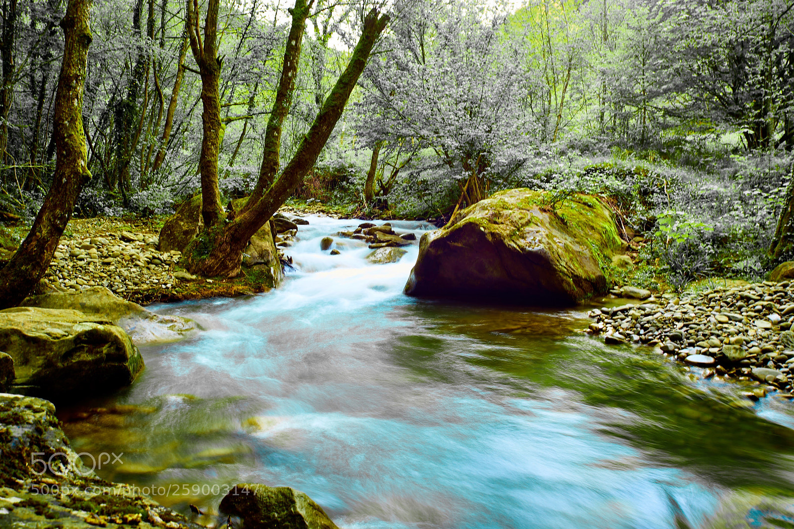 Sony a7 sample photo. River photography