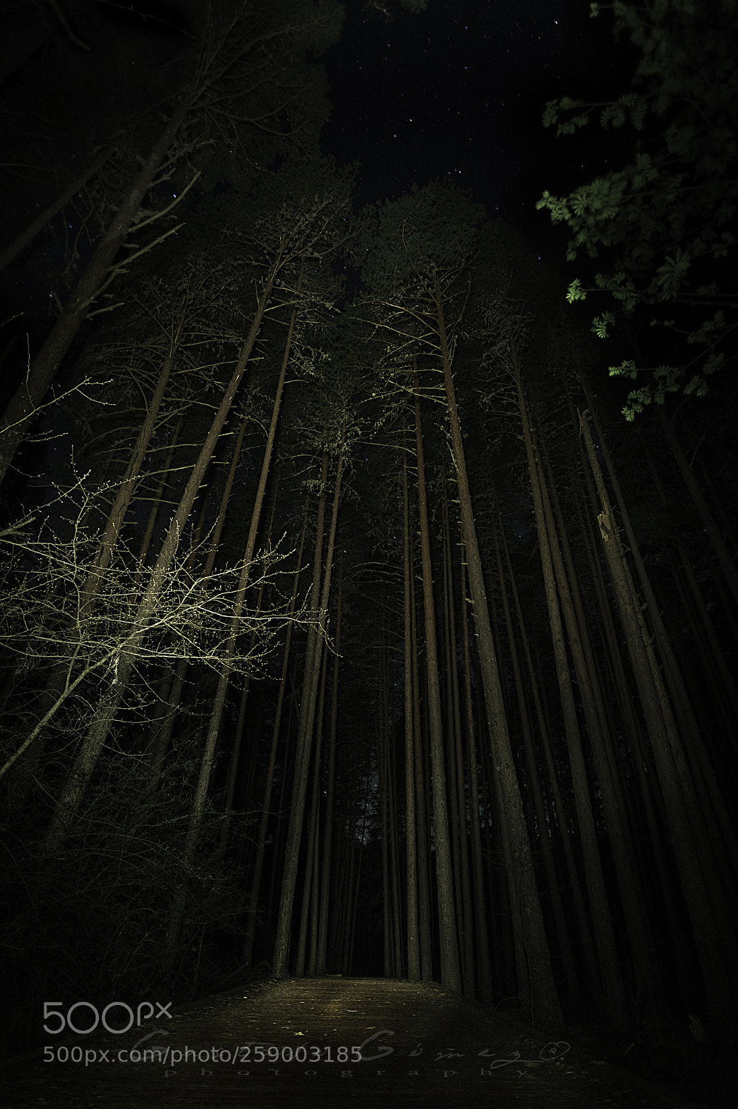 Nikon D750 sample photo. Darkness photography