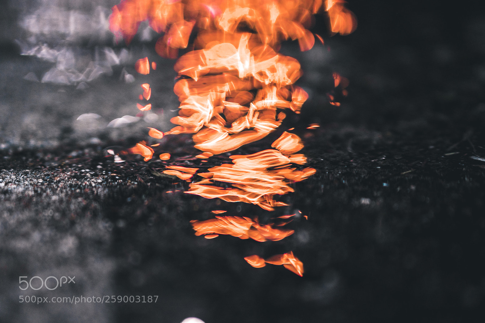 Sony a6500 sample photo. Fire in the water photography