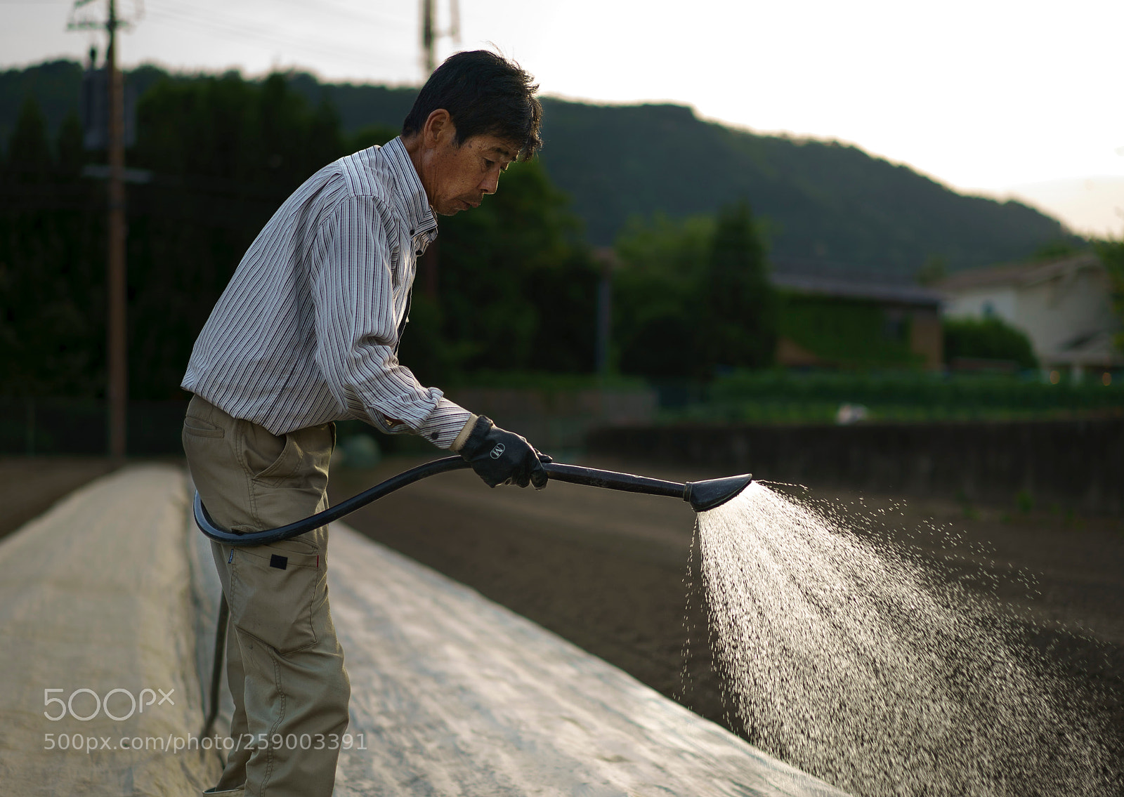 Sony a7S sample photo. Farmer i photography