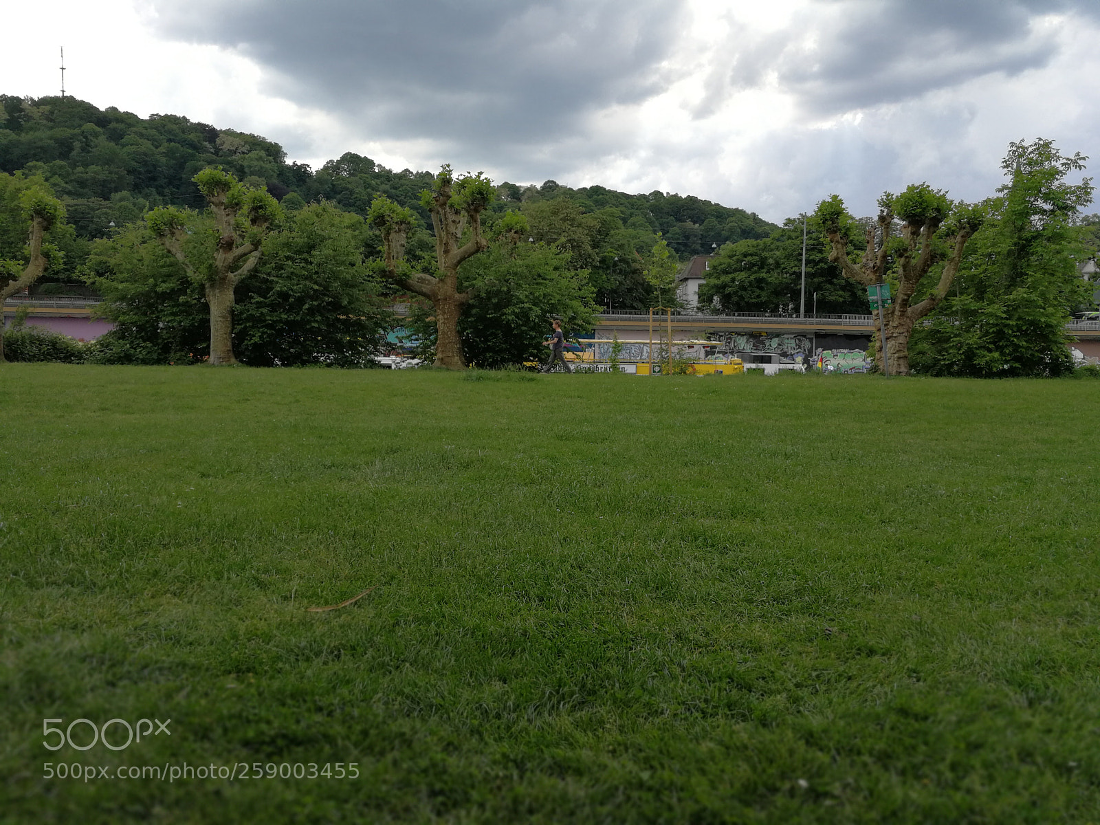 HUAWEI P10 sample photo. Untitled photography