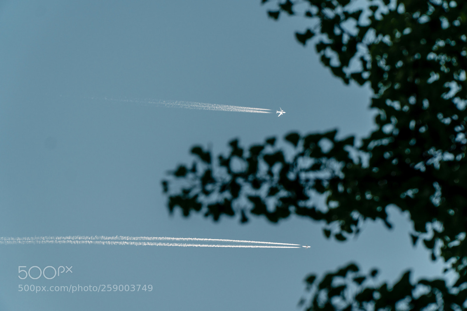 Sony a6500 sample photo. Plane with plane photography