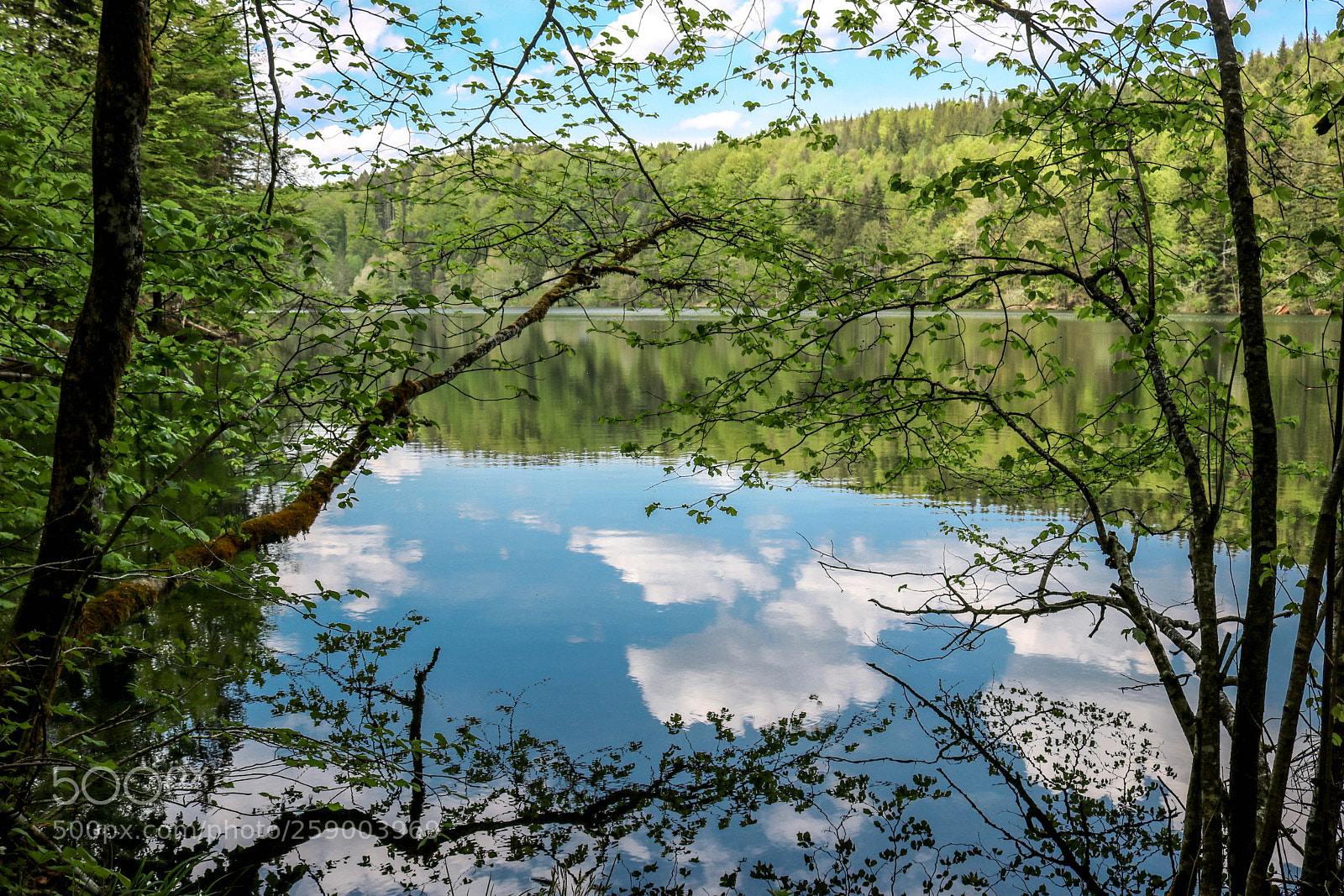 Canon EOS 750D (EOS Rebel T6i / EOS Kiss X8i) sample photo. Ein paar wolken im photography