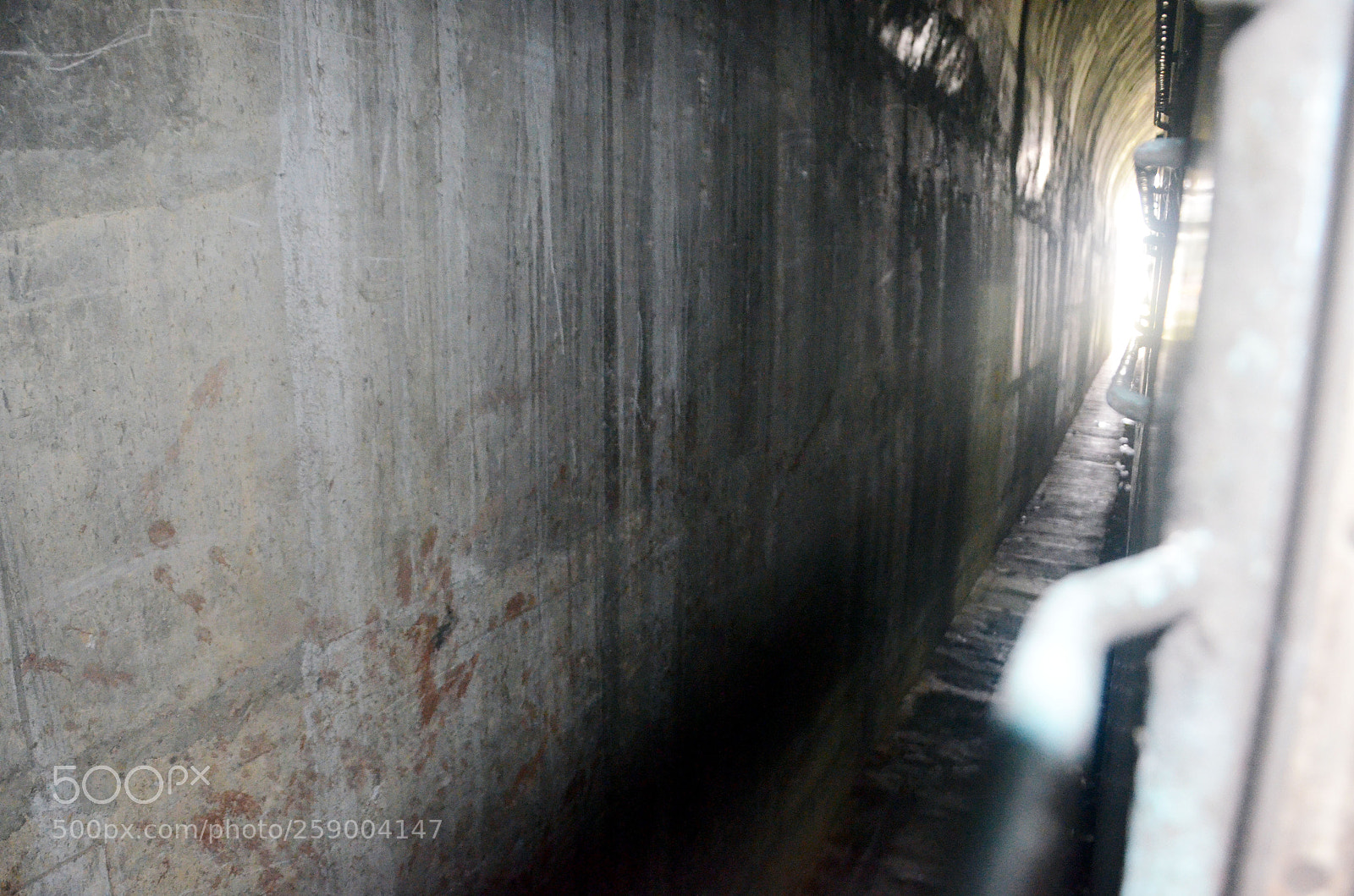 Nikon D5100 sample photo. Copy photography