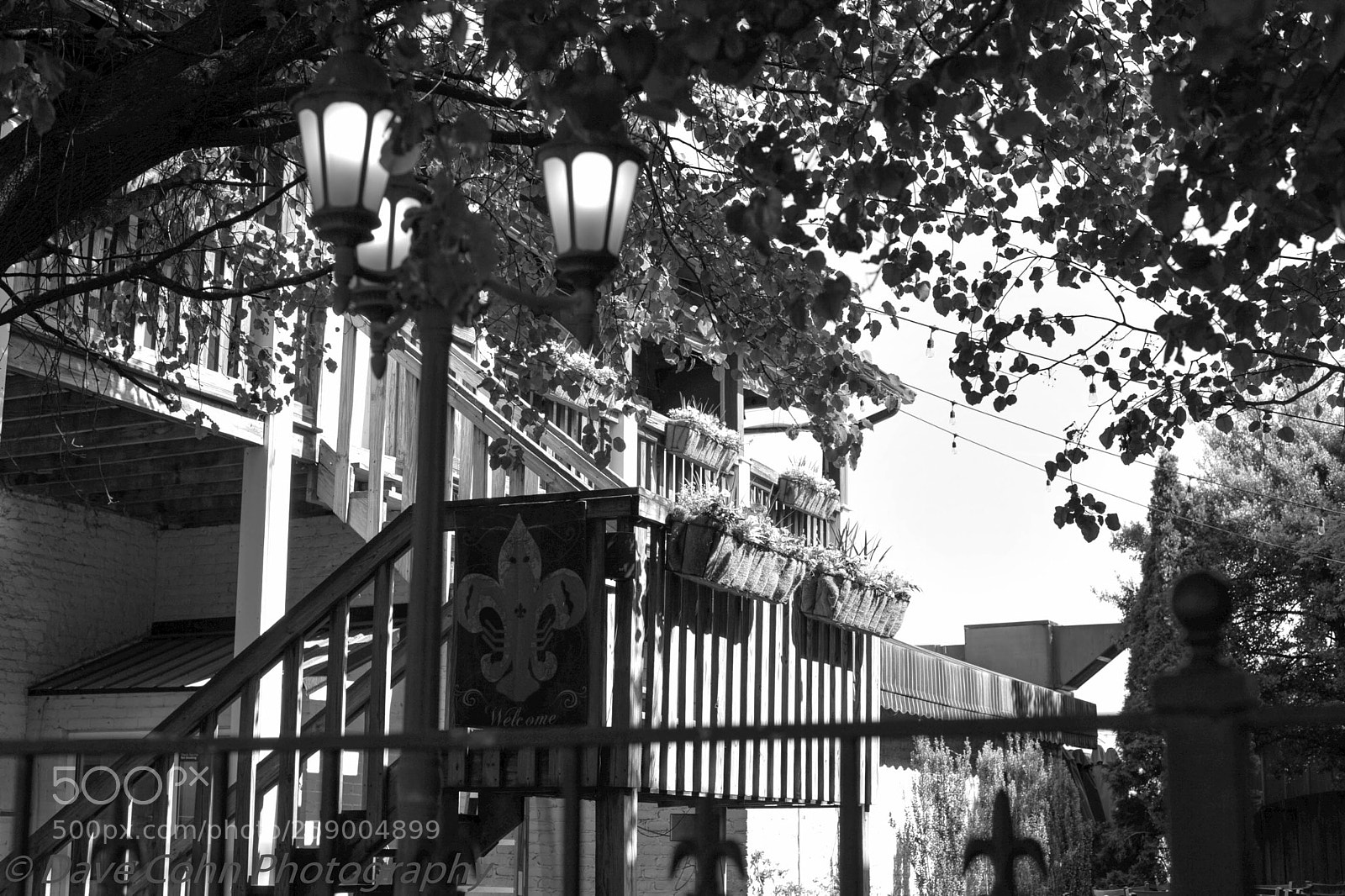 Nikon D700 sample photo. Cookville b&w photography