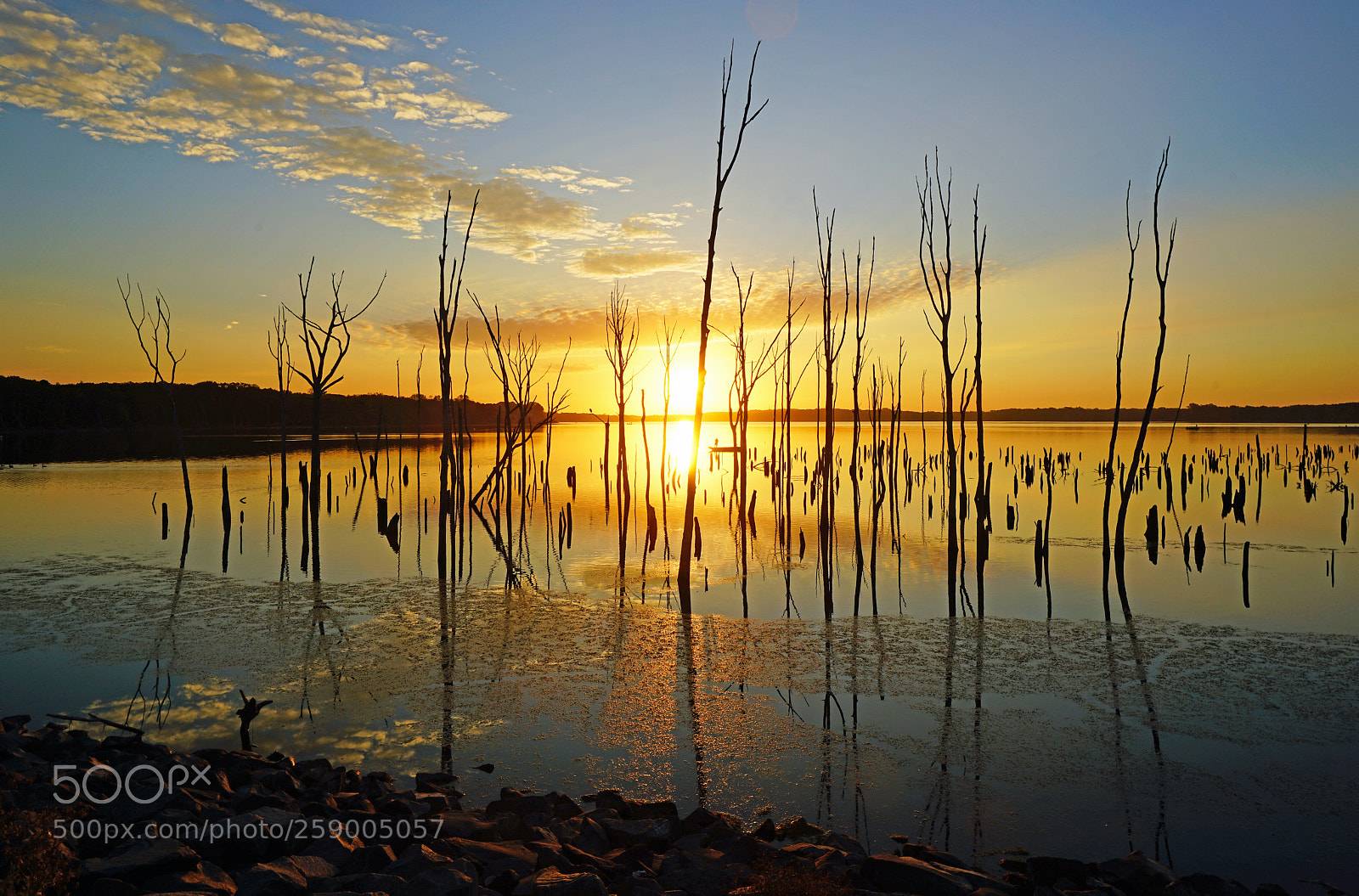 Sony a7R II sample photo. Sunrise fishing ii photography