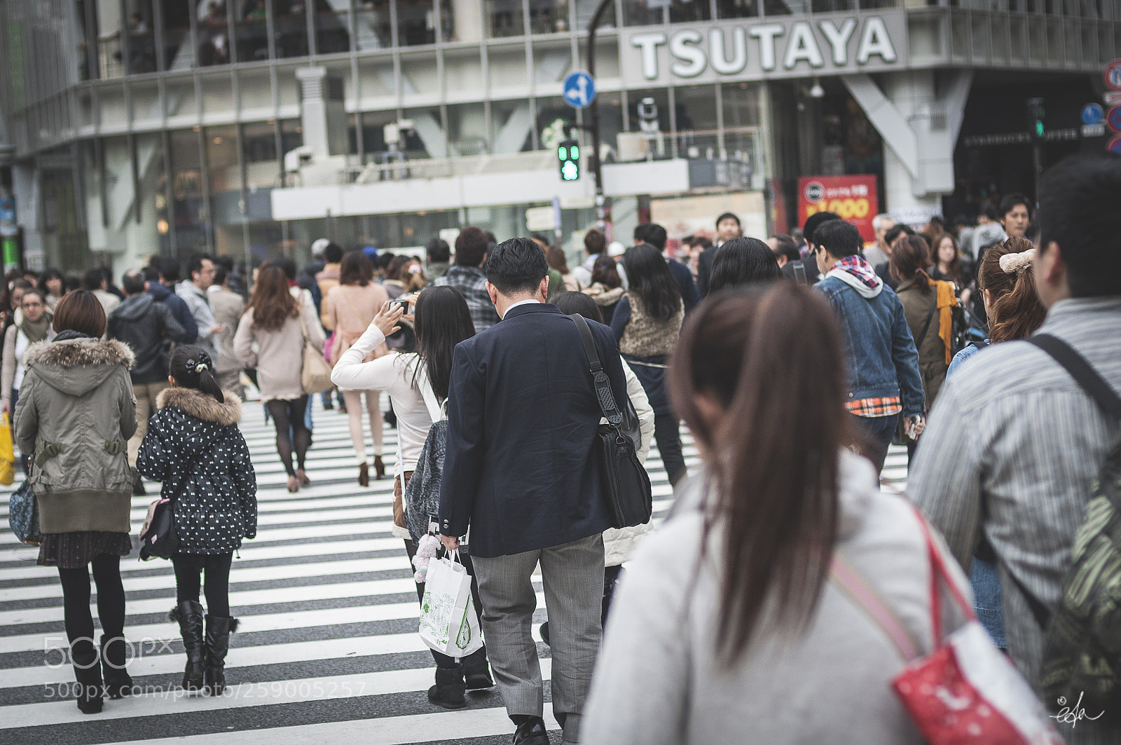 Nikon D90 sample photo. Japon momijigari eda photography