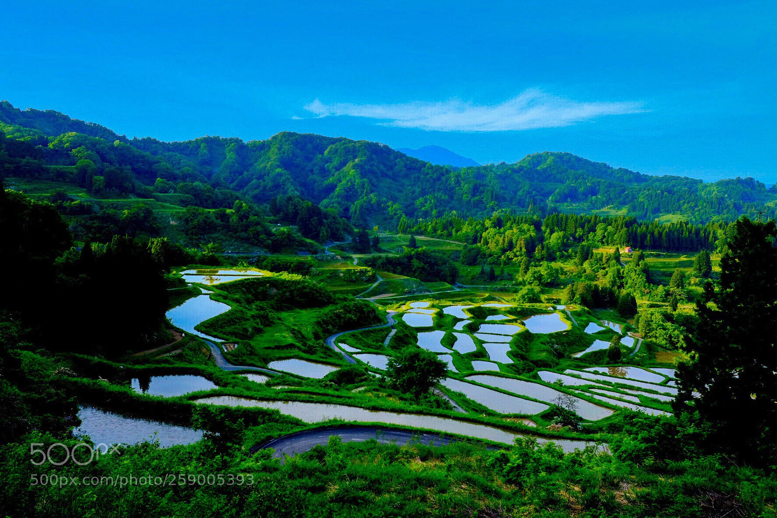 Fujifilm X-E3 sample photo. Rice terraces photography