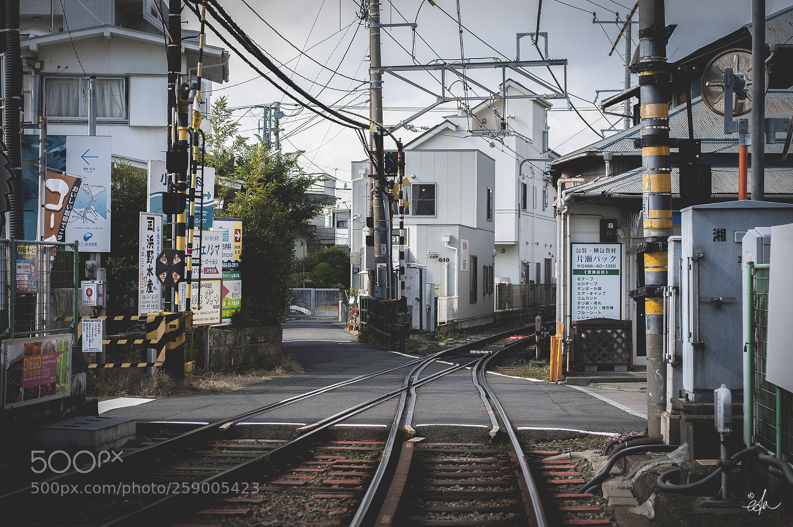 Nikon D90 sample photo. Japon momijigari eda photography