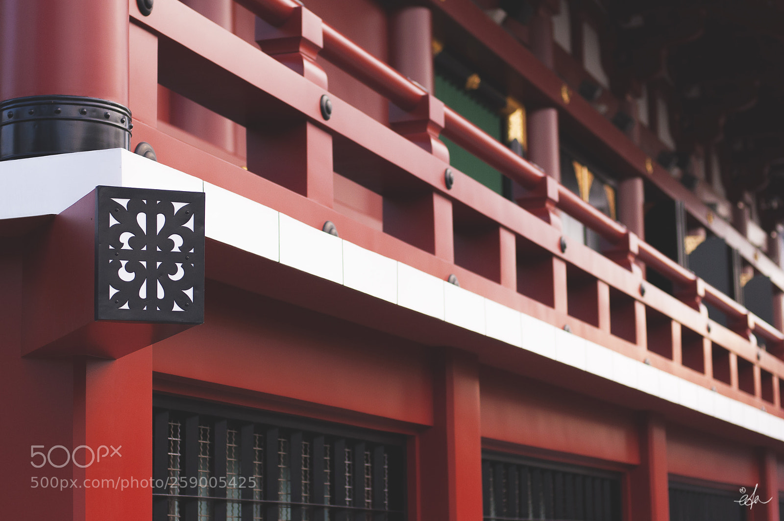 Nikon D90 sample photo. Japon momijigari eda photography