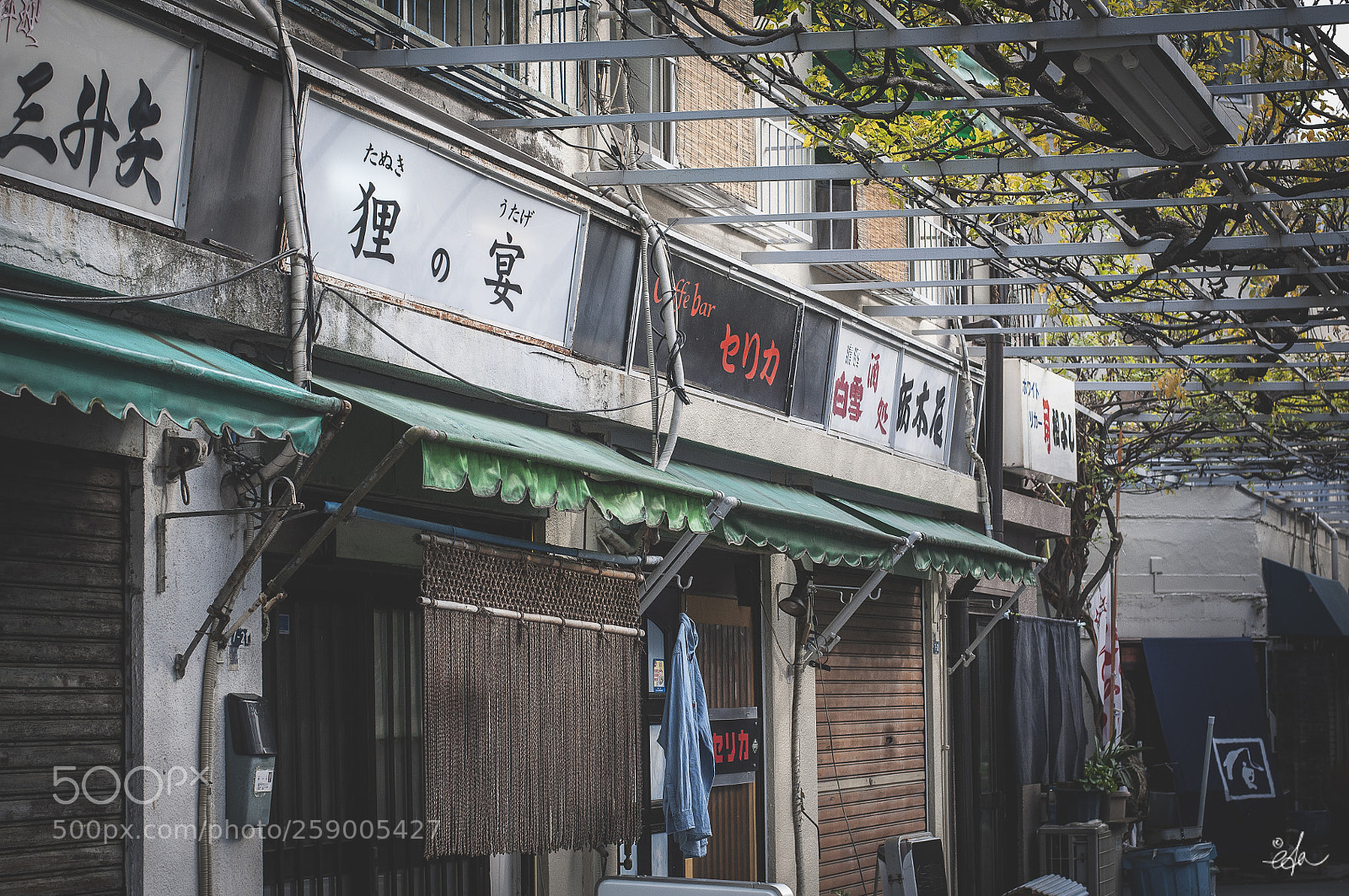 Nikon D90 sample photo. Japon momijigari eda photography