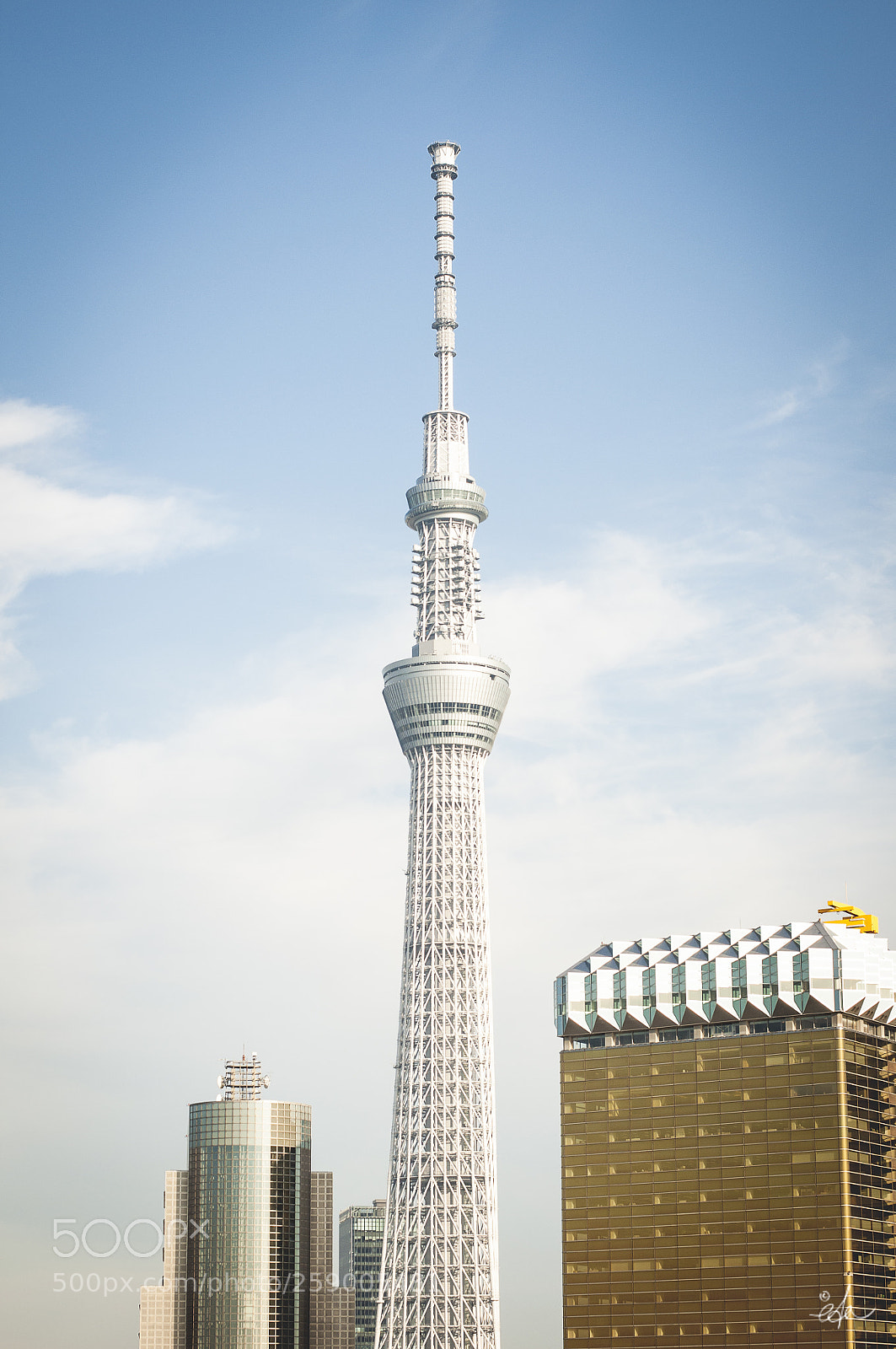 Nikon D90 sample photo. Japon momijigari eda photography