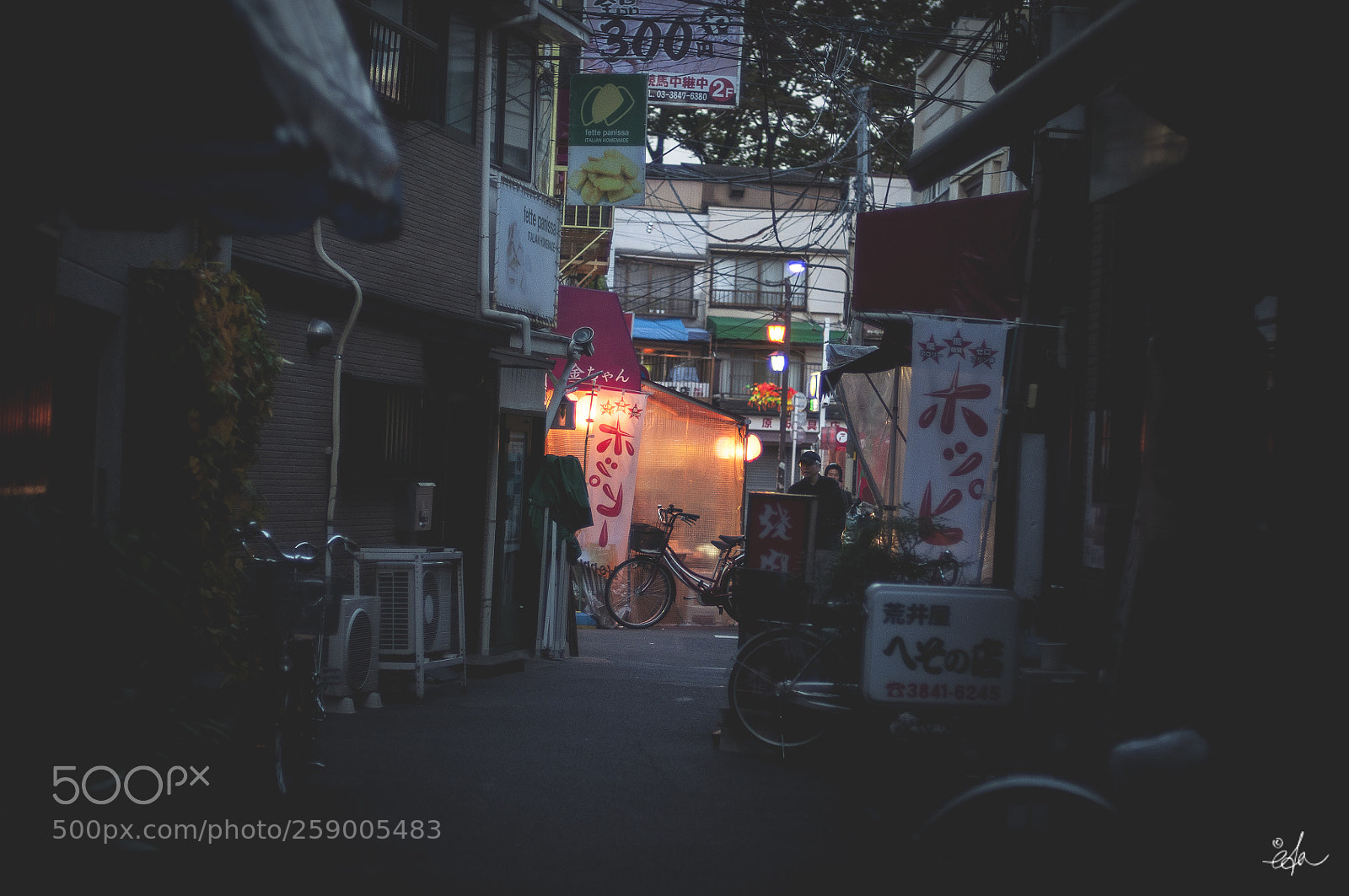 Nikon D90 sample photo. Japon momijigari eda photography