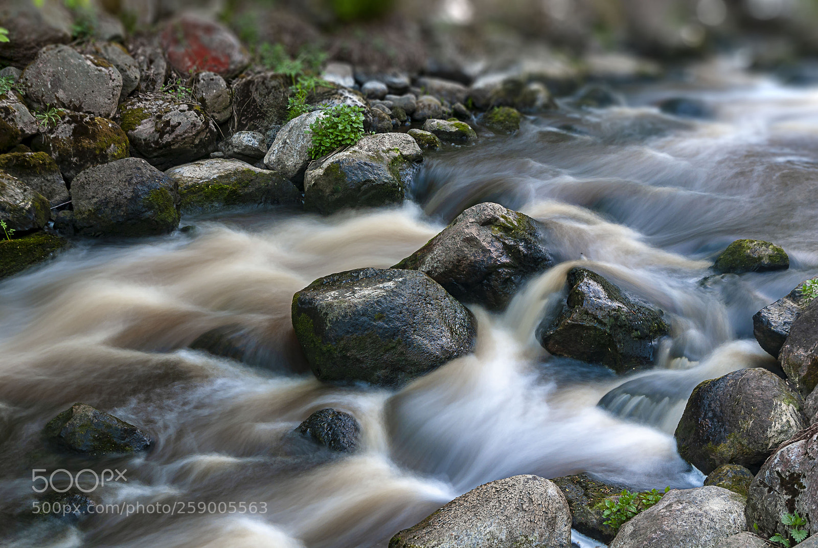 Nikon D80 sample photo. River photography