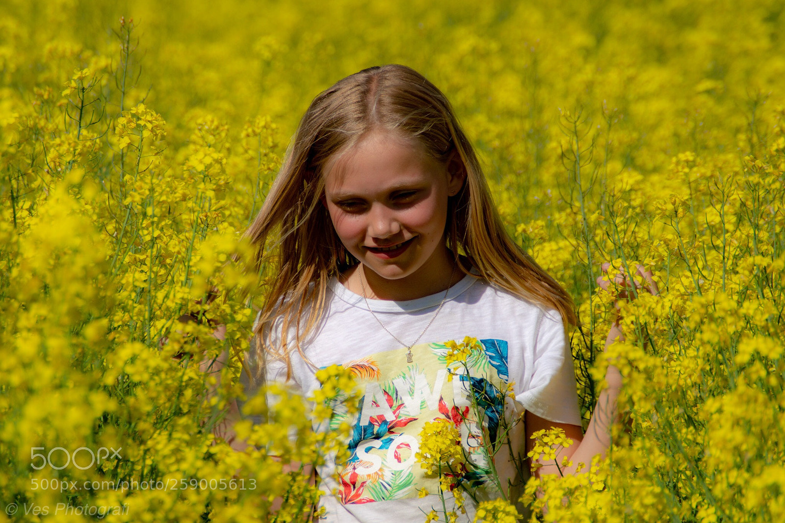 Sony SLT-A58 sample photo. Summer & fun. photography