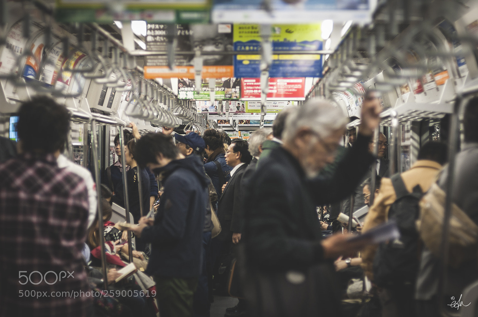 Nikon D90 sample photo. Japon momijigari eda photography