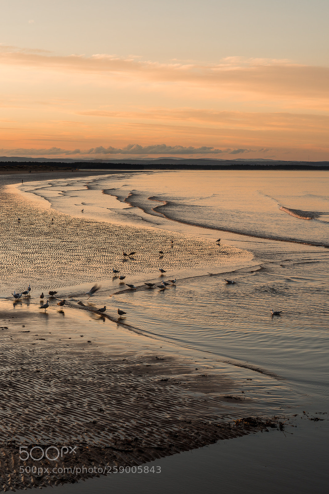 Nikon D800 sample photo. || land vs sea photography