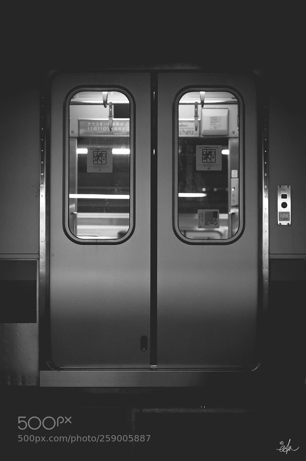 Nikon D90 sample photo. Japon momijigari eda photography